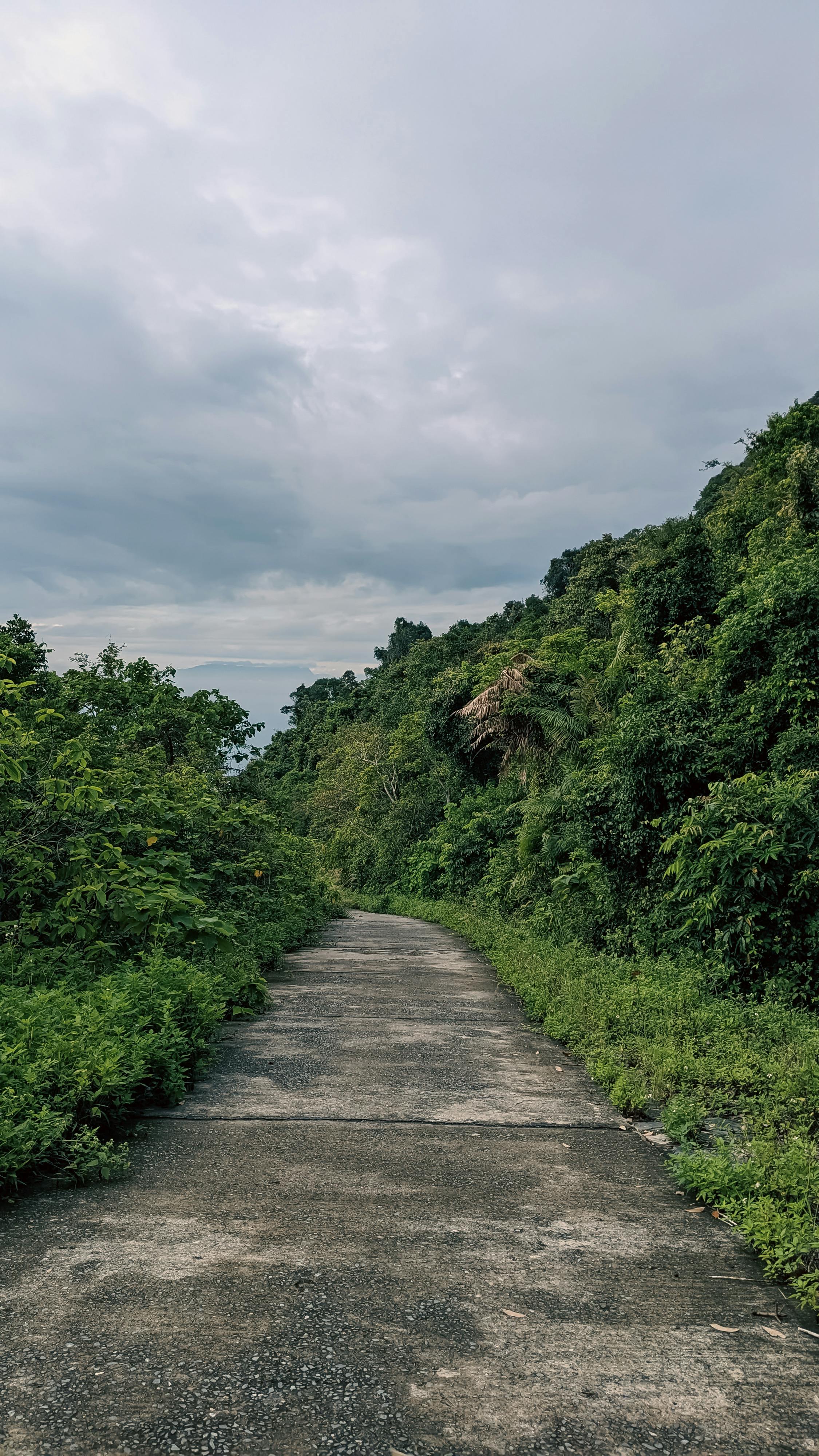 Trung tâm nghiên cứu văn học, phát triển nhà văn Việt Nam