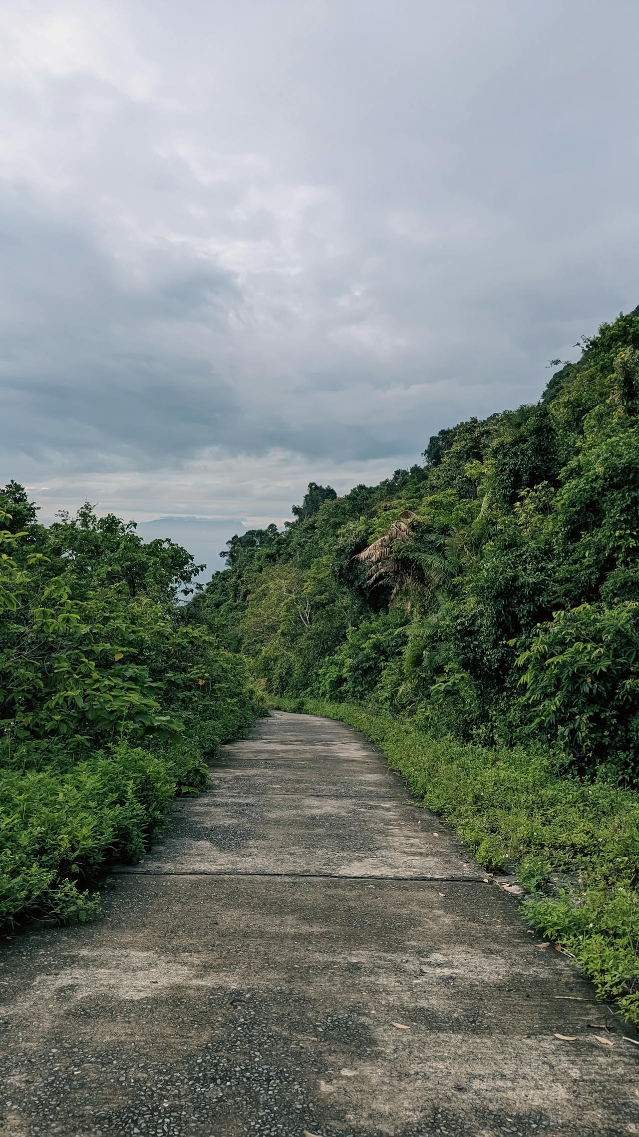 Chim lửa | Chương 17