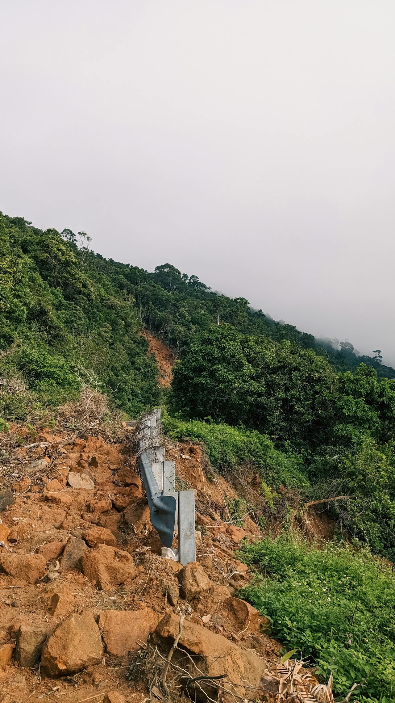 Biên niên ký chim vặn dây cót | Chương 44