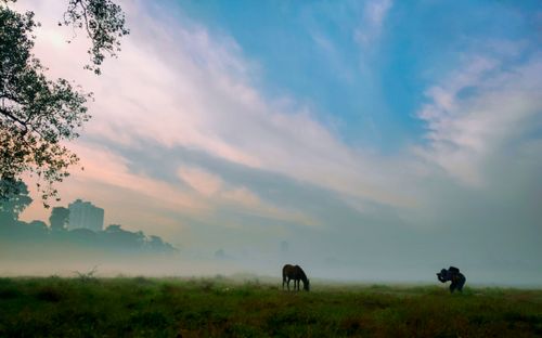 Free Photographer taking photographs   Stock Photo