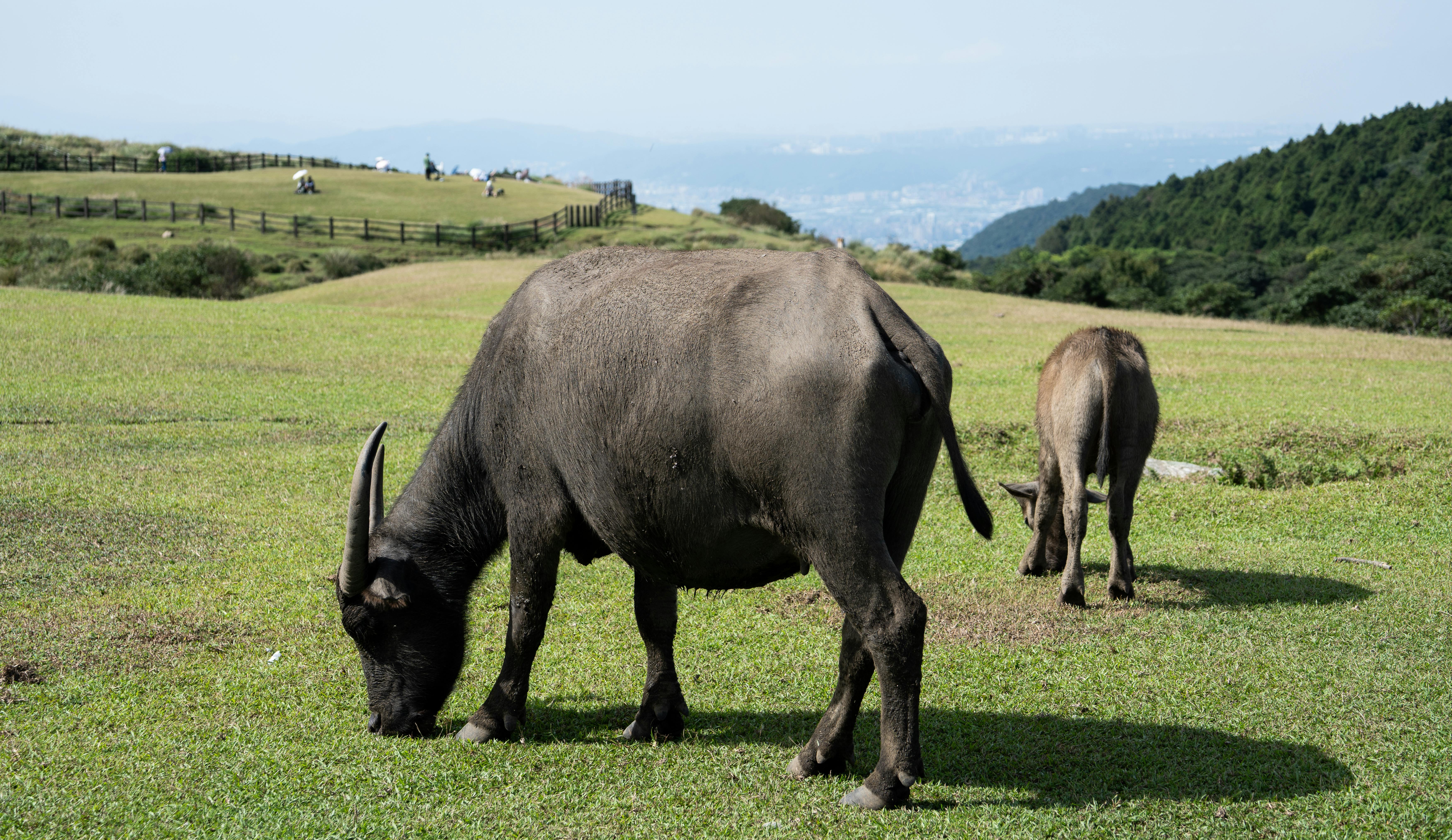 生活：花蓮近海發生規模4.5地震 最大震度達4級