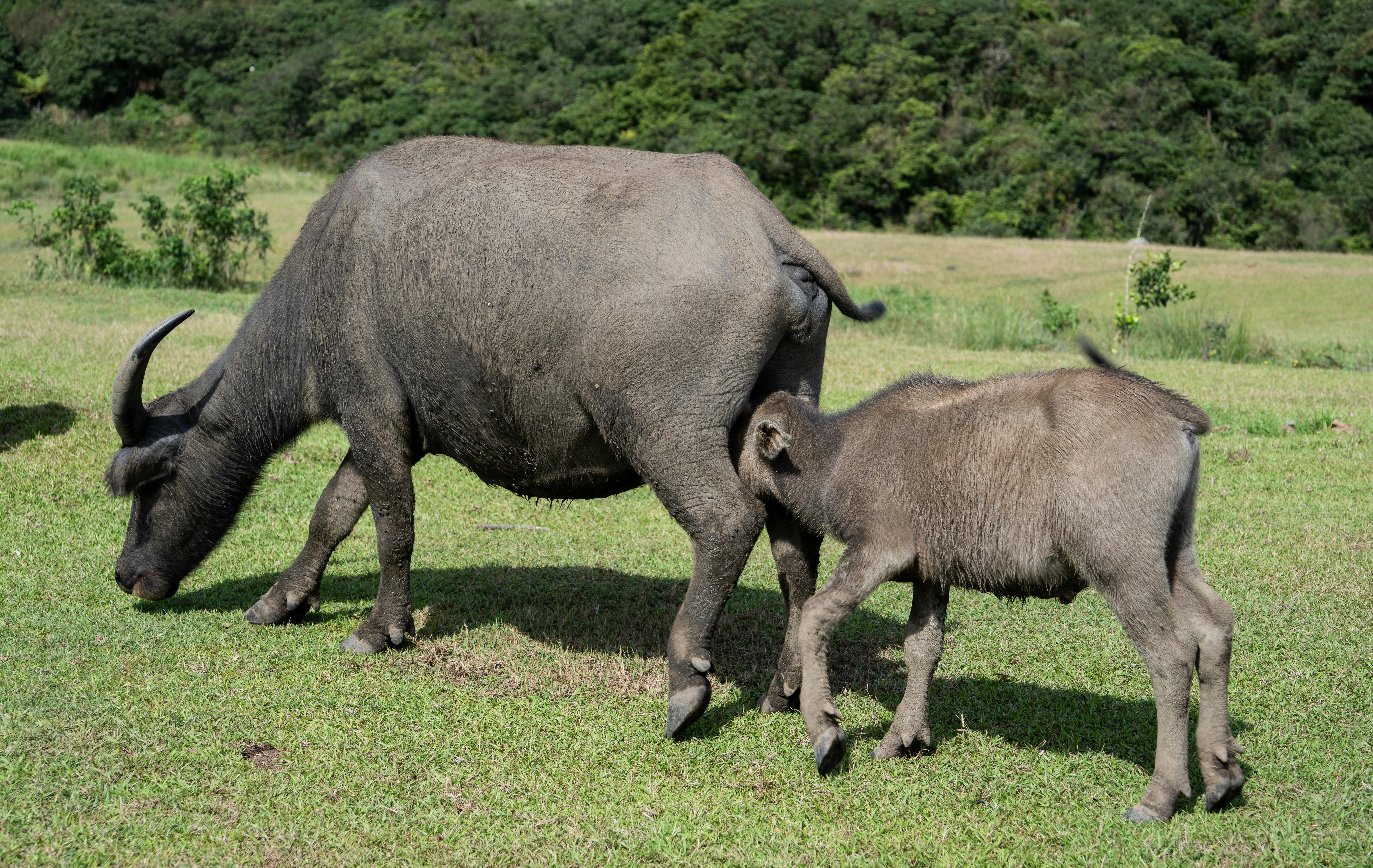 生活：花蓮近海發生規模4.5地震 最大震度達4級