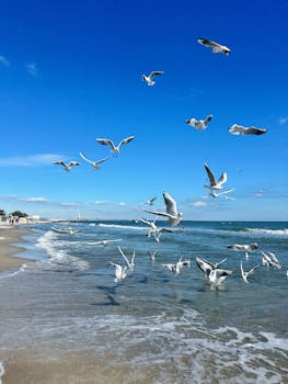 好的，我会按照您的要求进行句子的优化