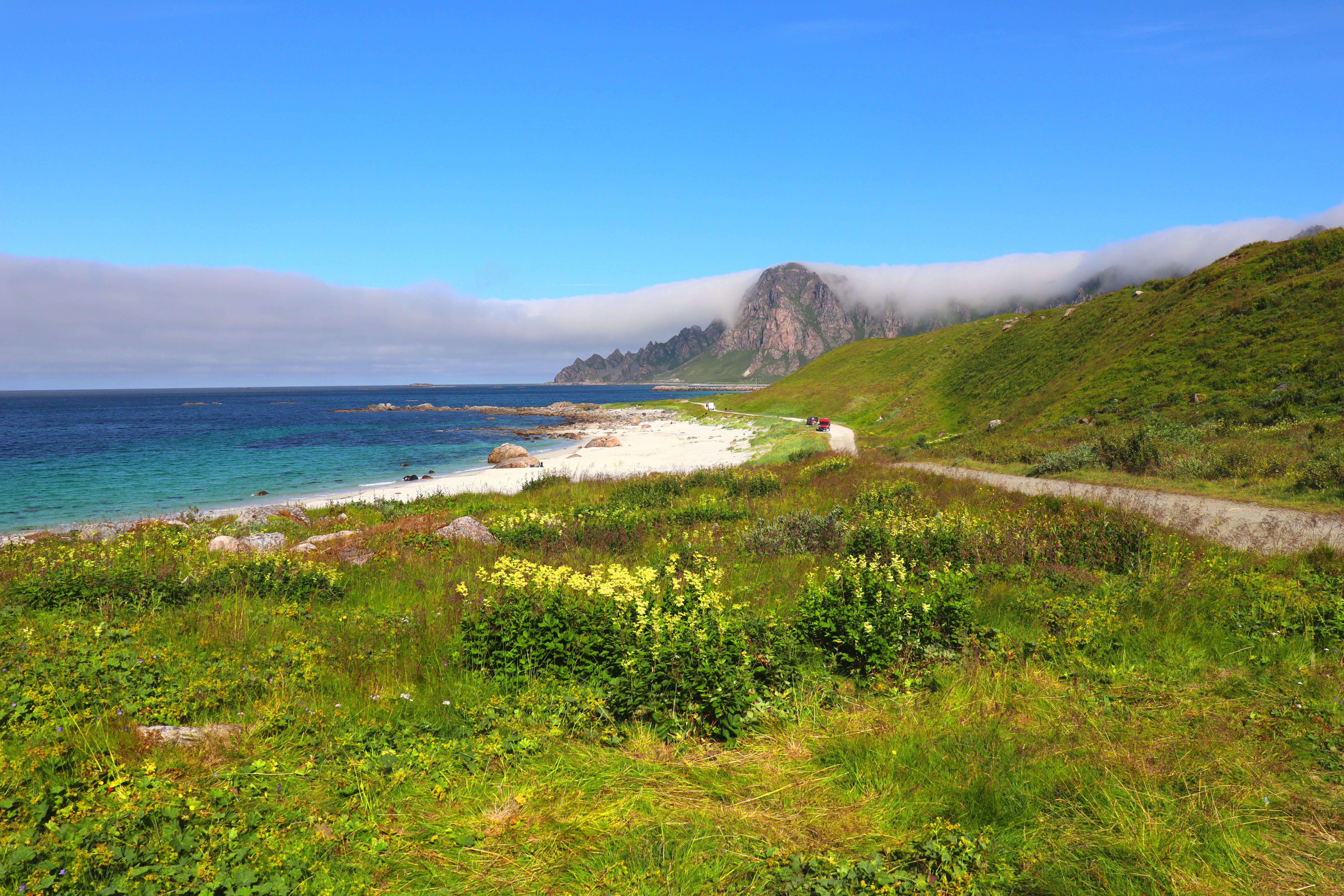 Scenic Coastal Landscape with Greenery and Mountains · Free Stock Photo