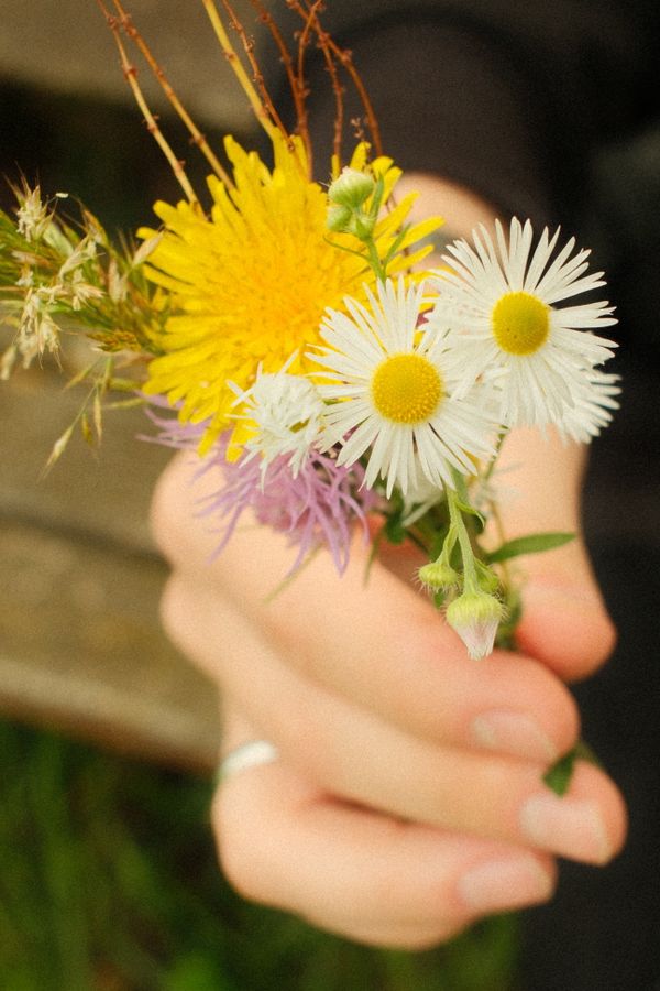 Wildflower Story