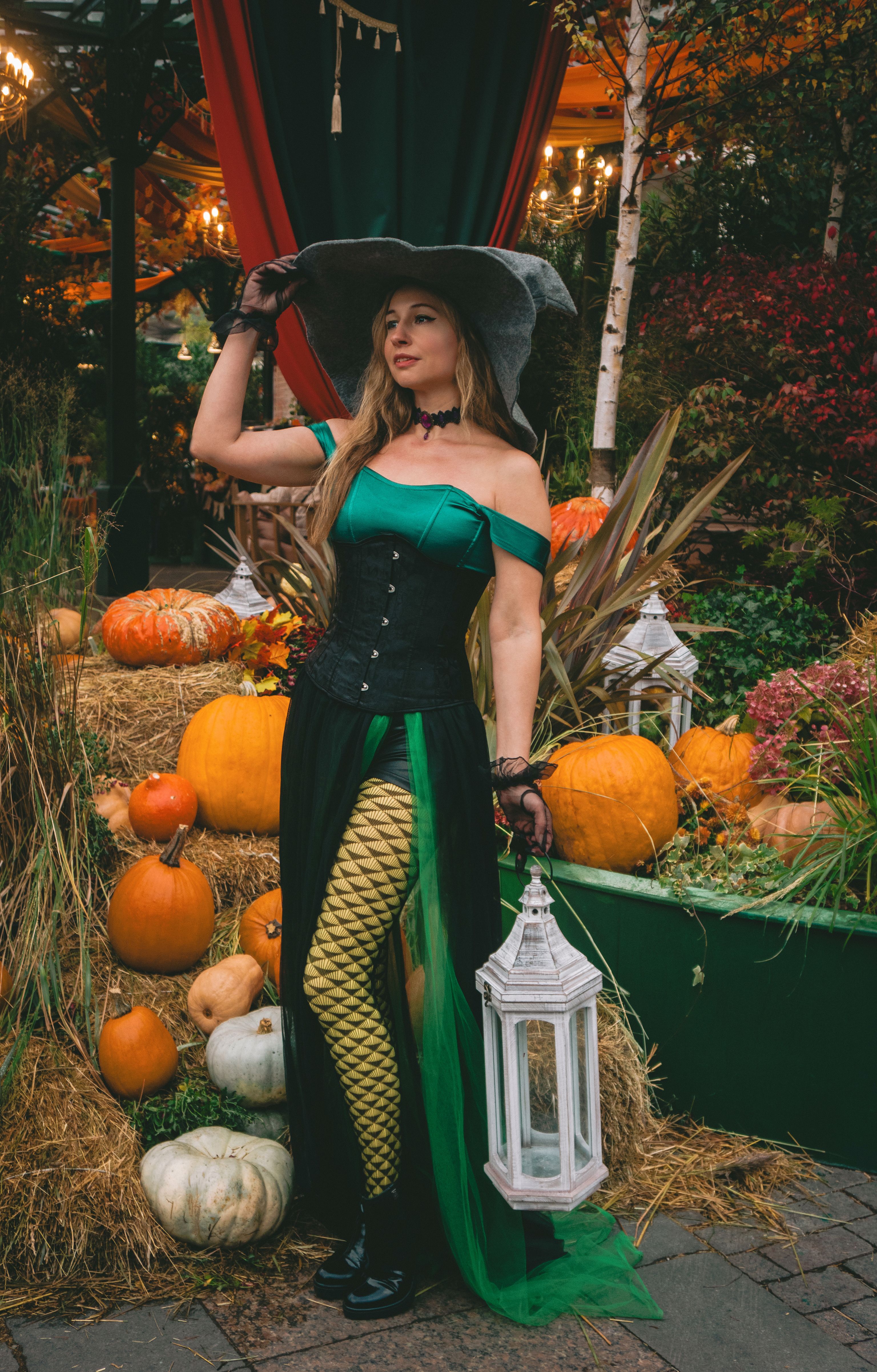 A True History Of Witchcraft