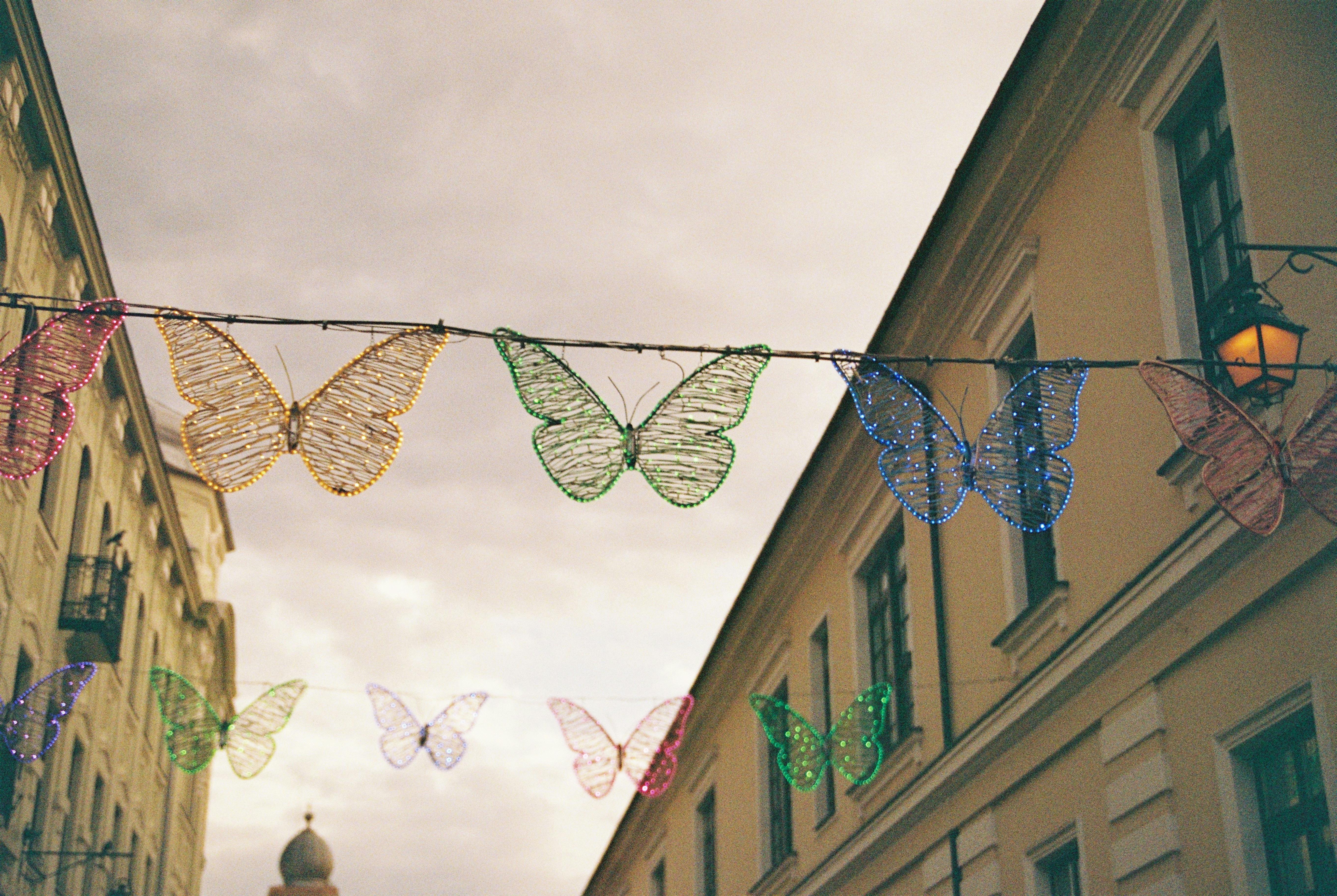 生活：今開工！揭曉2025年最後一次連假安排大公開