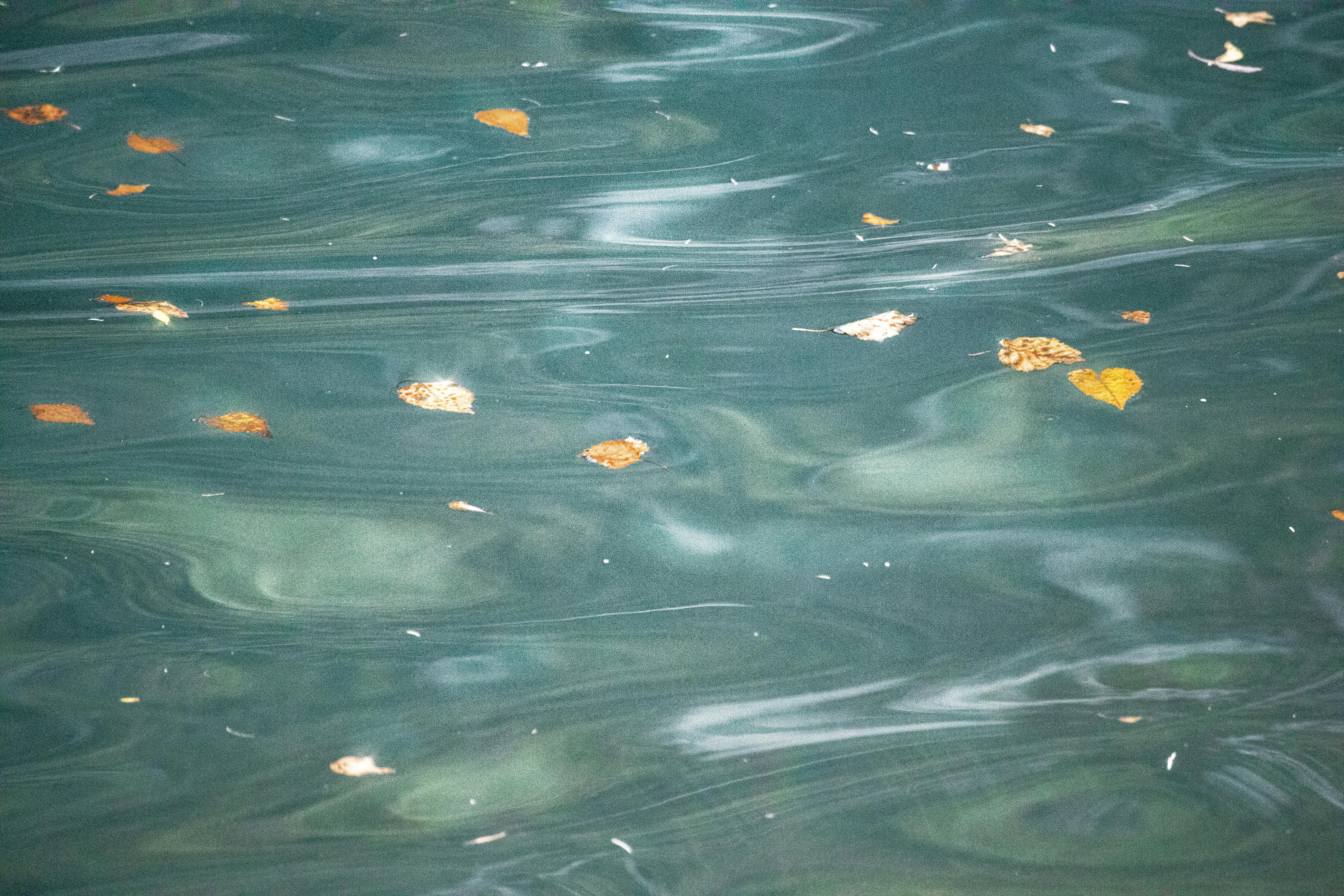 法水寺人間生活禪：將禪意融入每一個當下