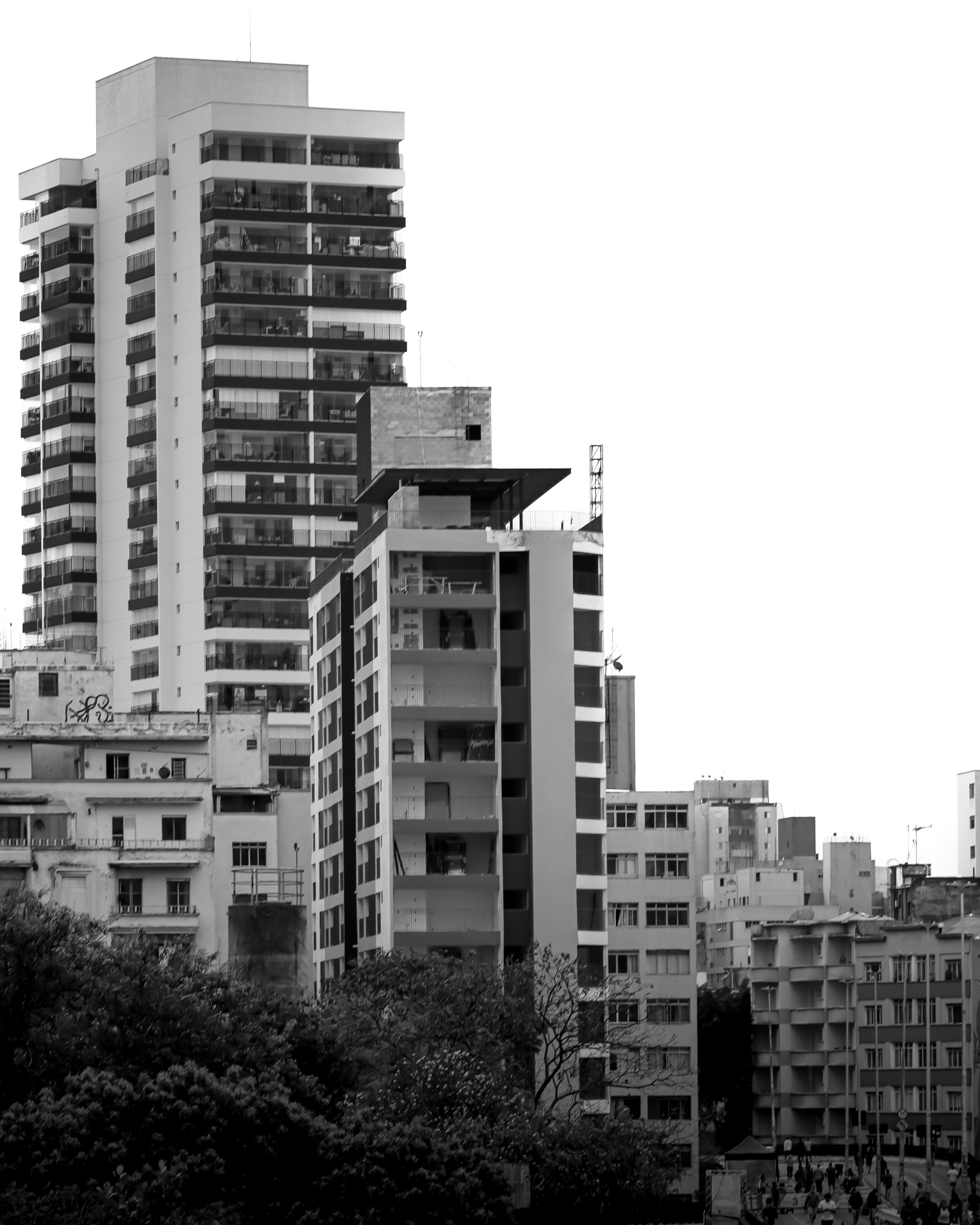 Black and White Urban Cityscape with Tall Buildings · Free Stock Photo
