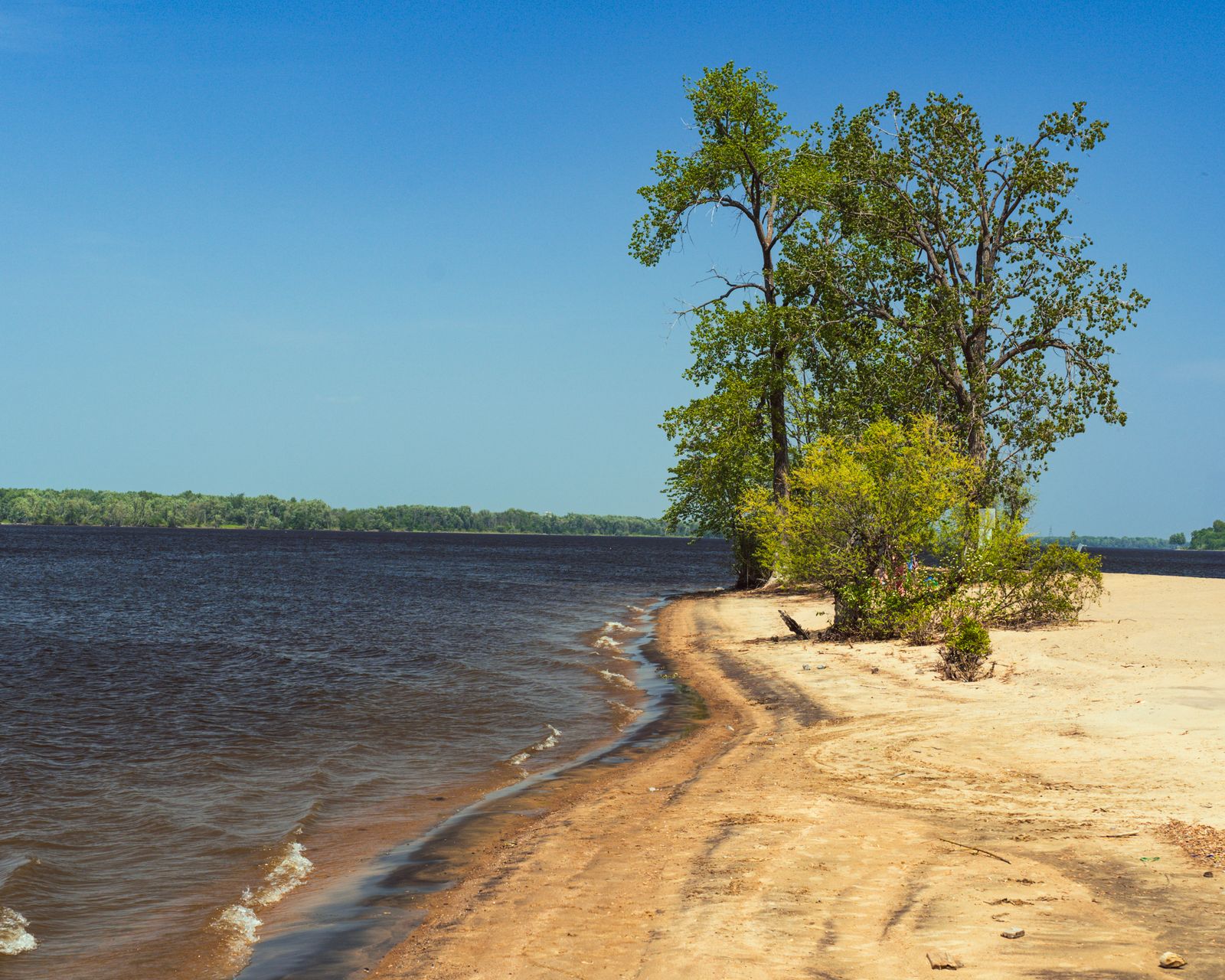 Petrie Island Ottawa: Beaches, Trails, Kayaking & Why Locals Love It (2026 Guide)