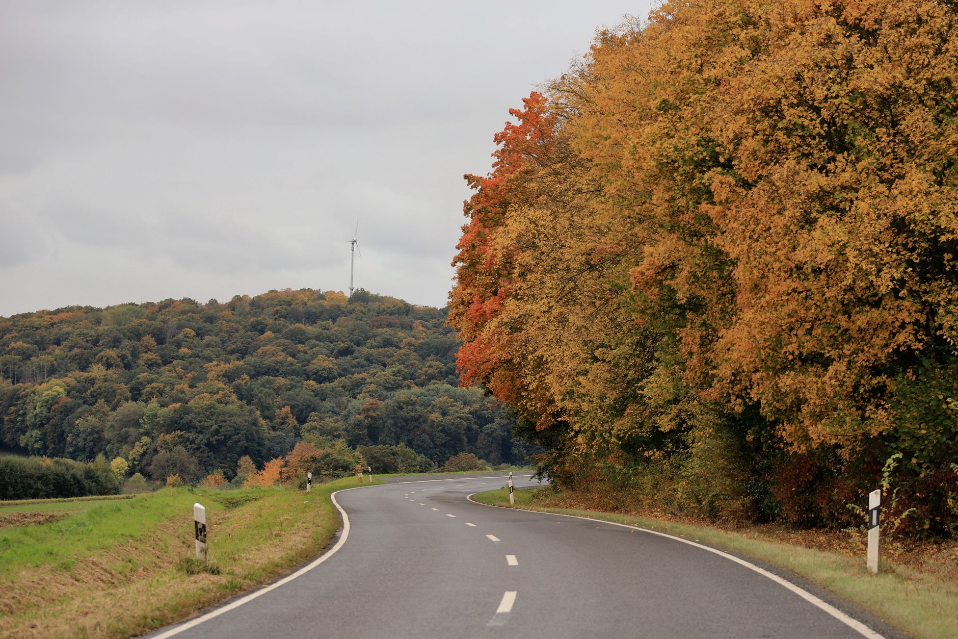 Goldener Herbst
