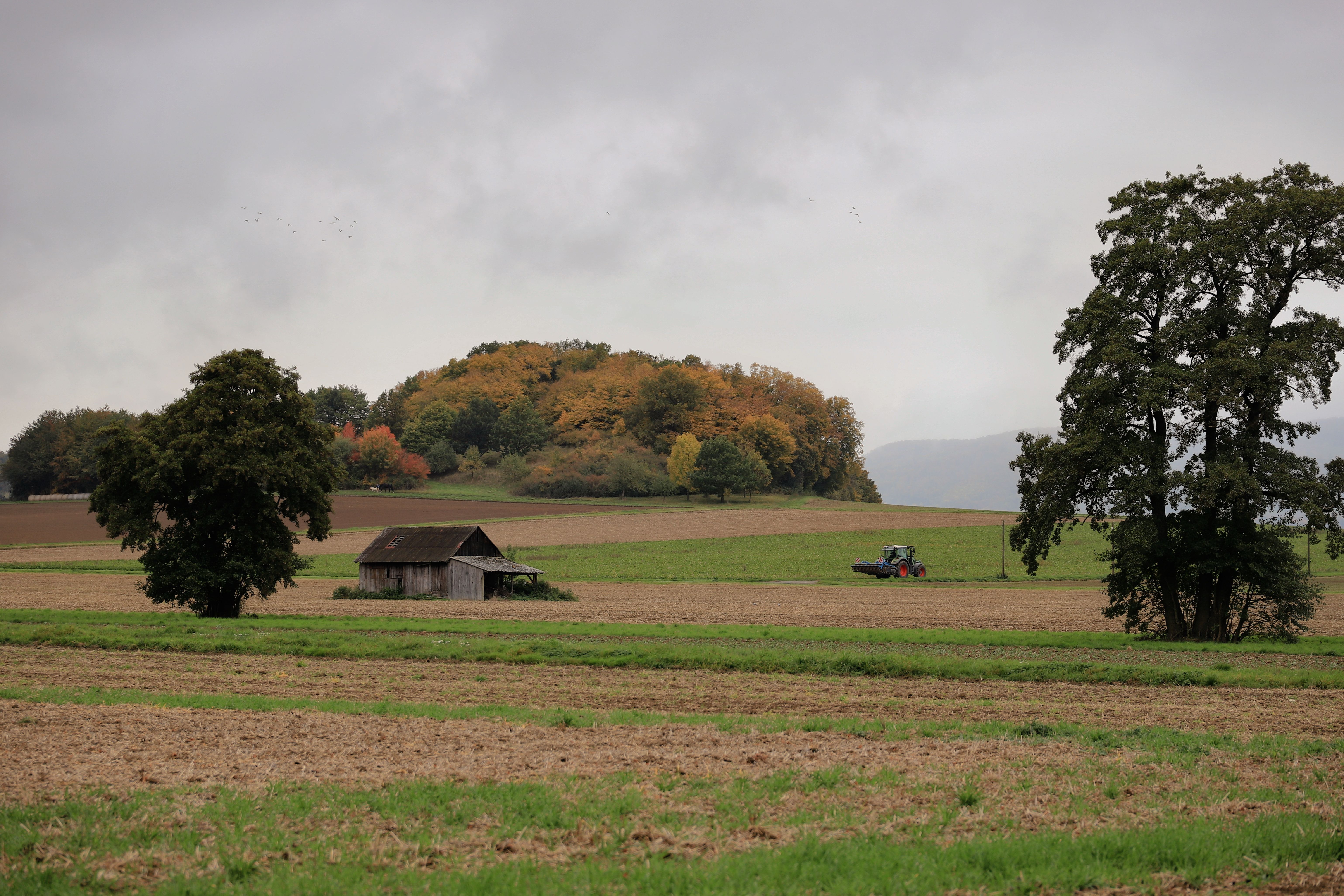 Tranquil Autumn Farm Scene with Tractor and Barn · Free Stock Photo