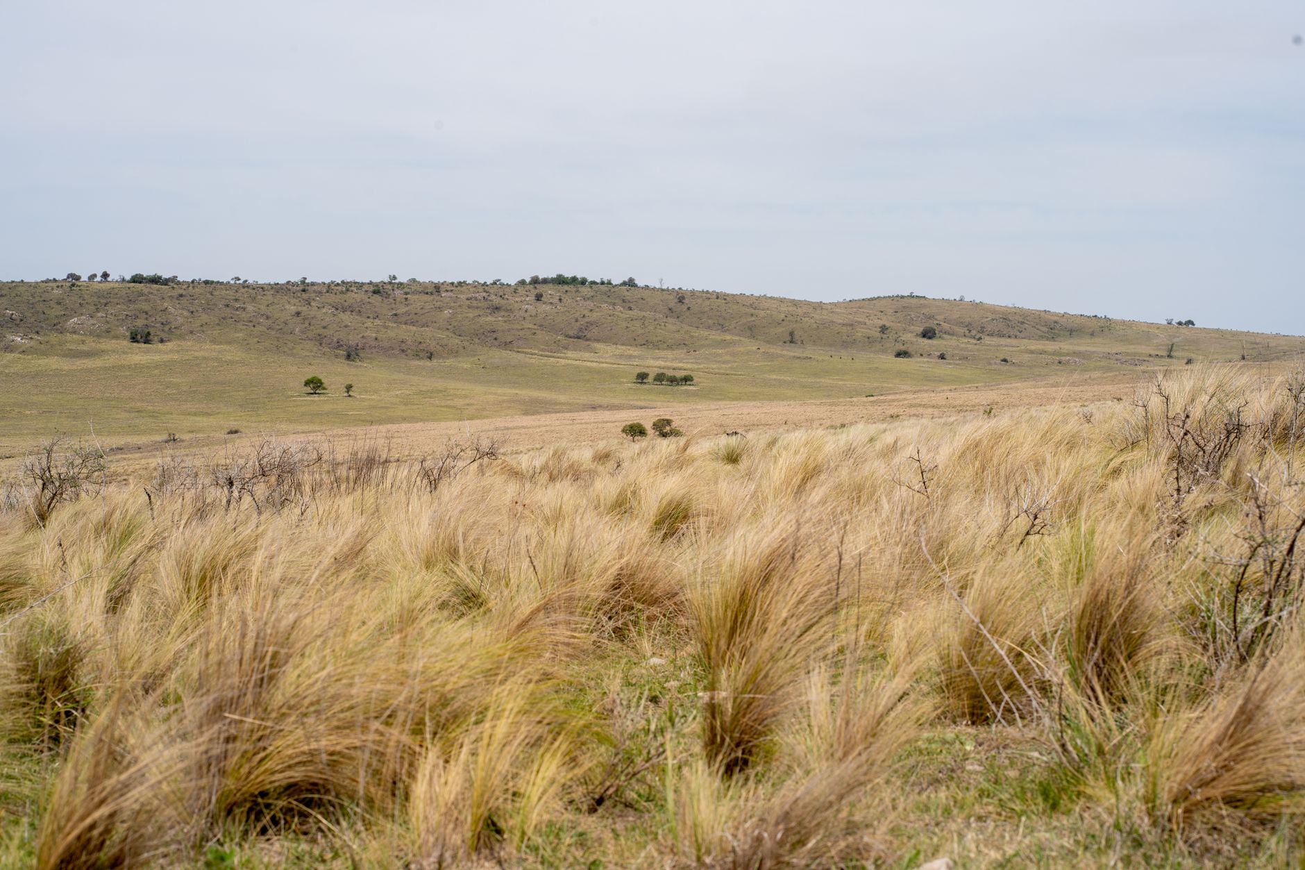 Popular sights in The Pampas Landmarks in The Pampas