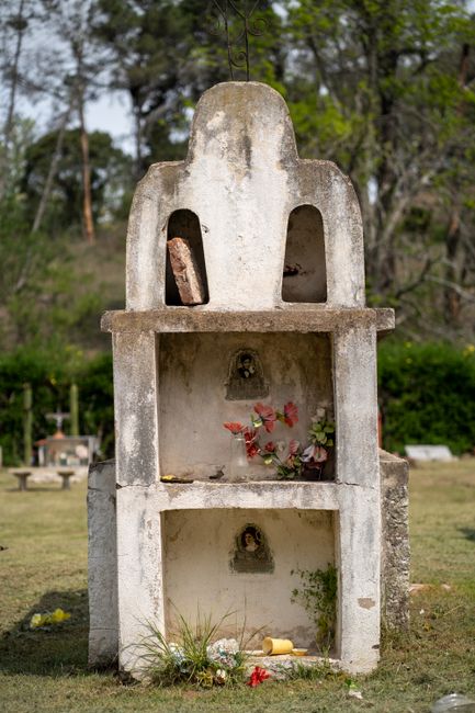 Fotomural Monumento funerario histórico en un cementerio de Córdoba rodeado de naturaleza.