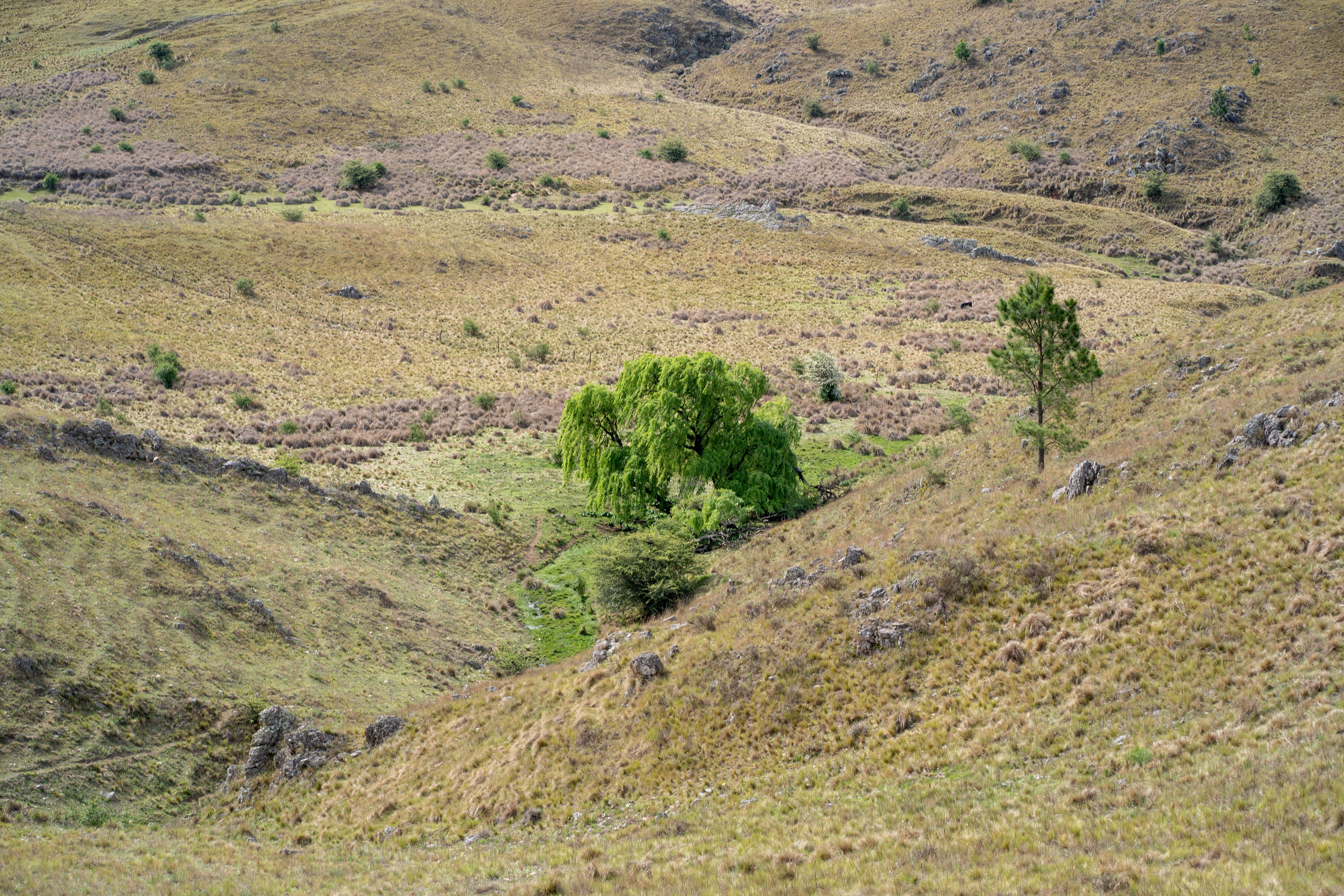 Paisaje natural protegido
