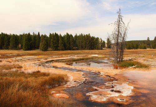 Free Beautiful fall colors and geothermal features in Yellowstone National Park. Stock Photo