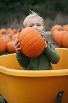 A young boy holding a pumpkin at a pumpkin patch in Santa Maria, California.