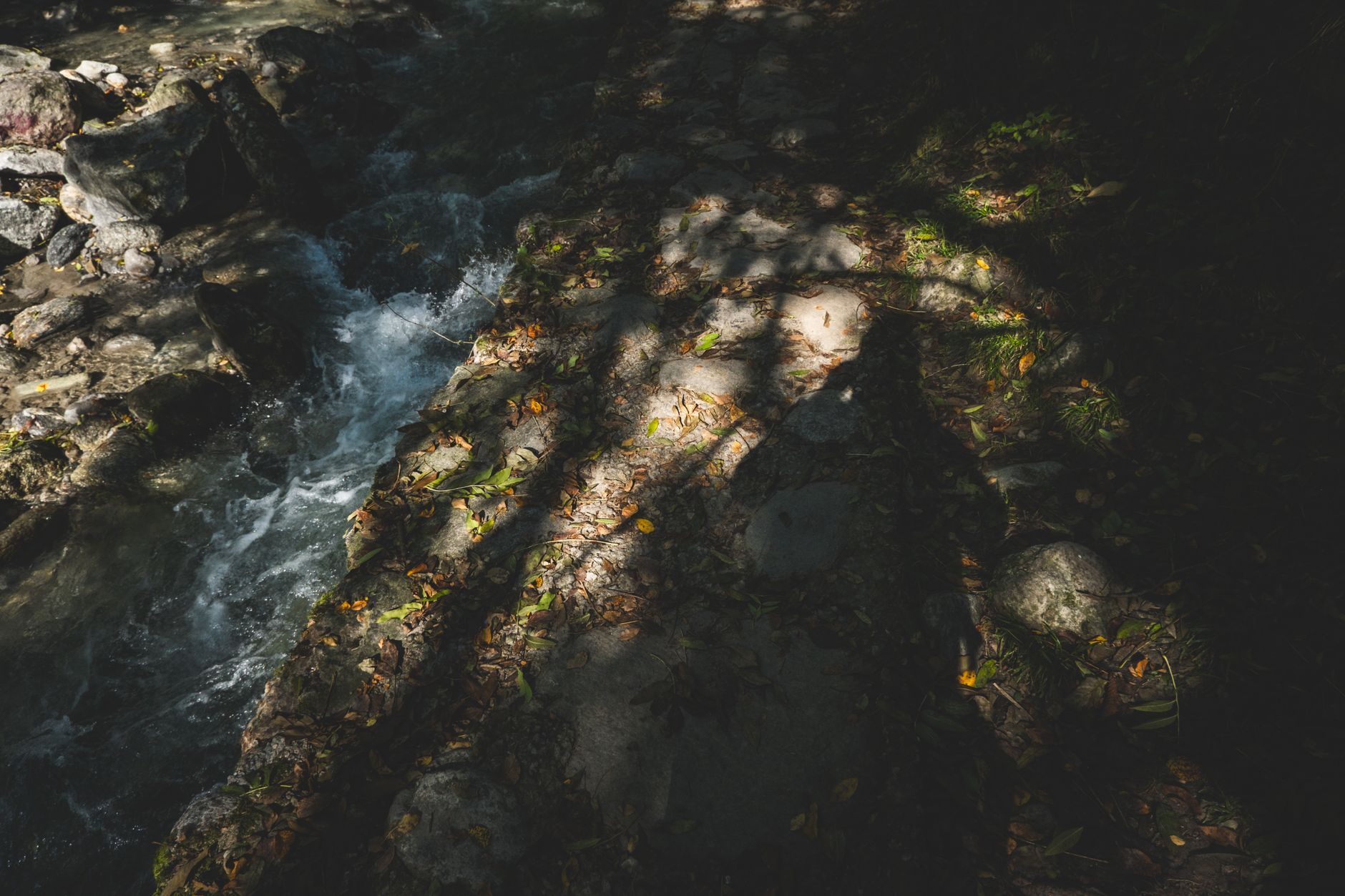 A serene stream with shadows of trees creates a moody, natural scene.