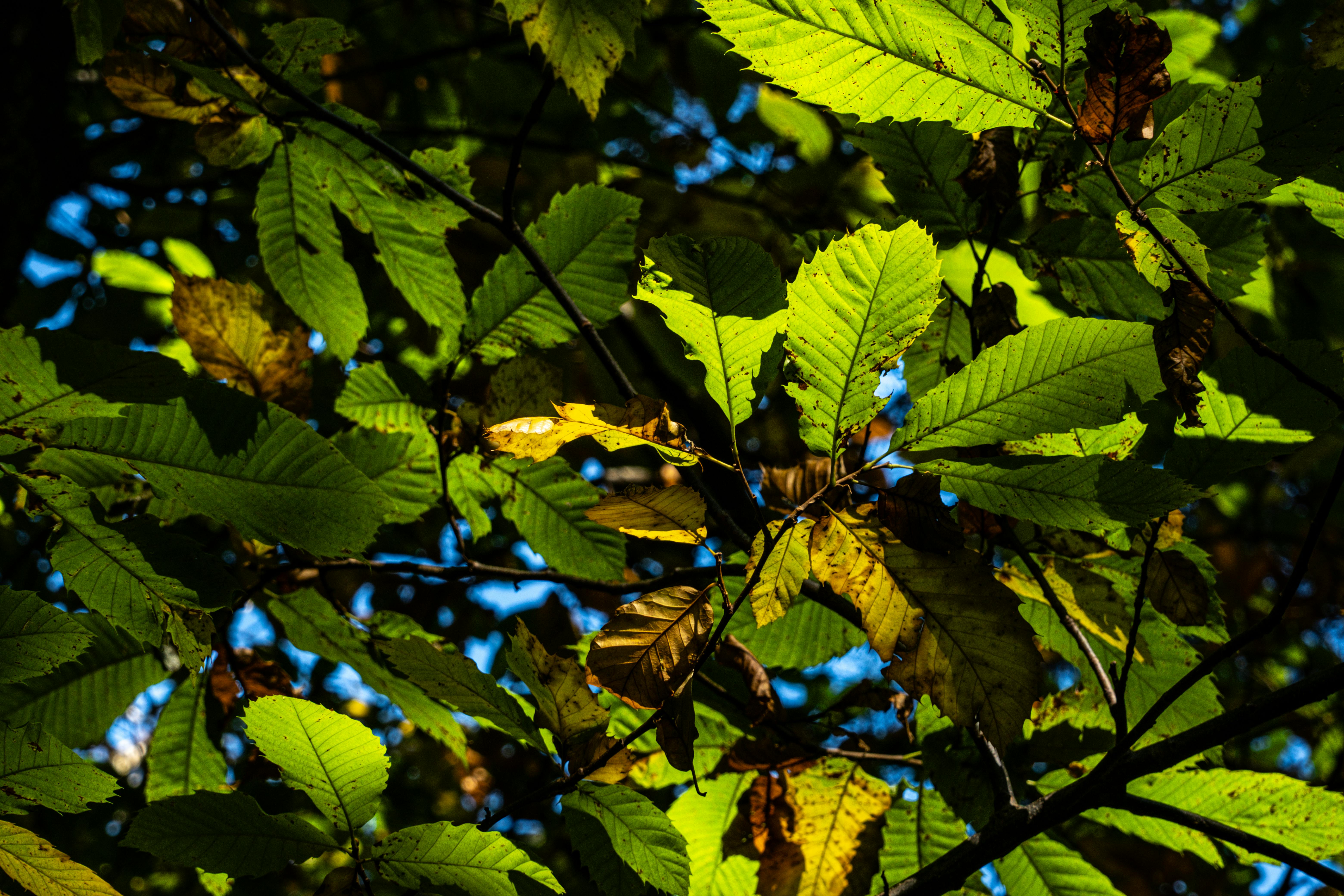 蕭美琴談台灣地緣政治危機：心存善念共度難關