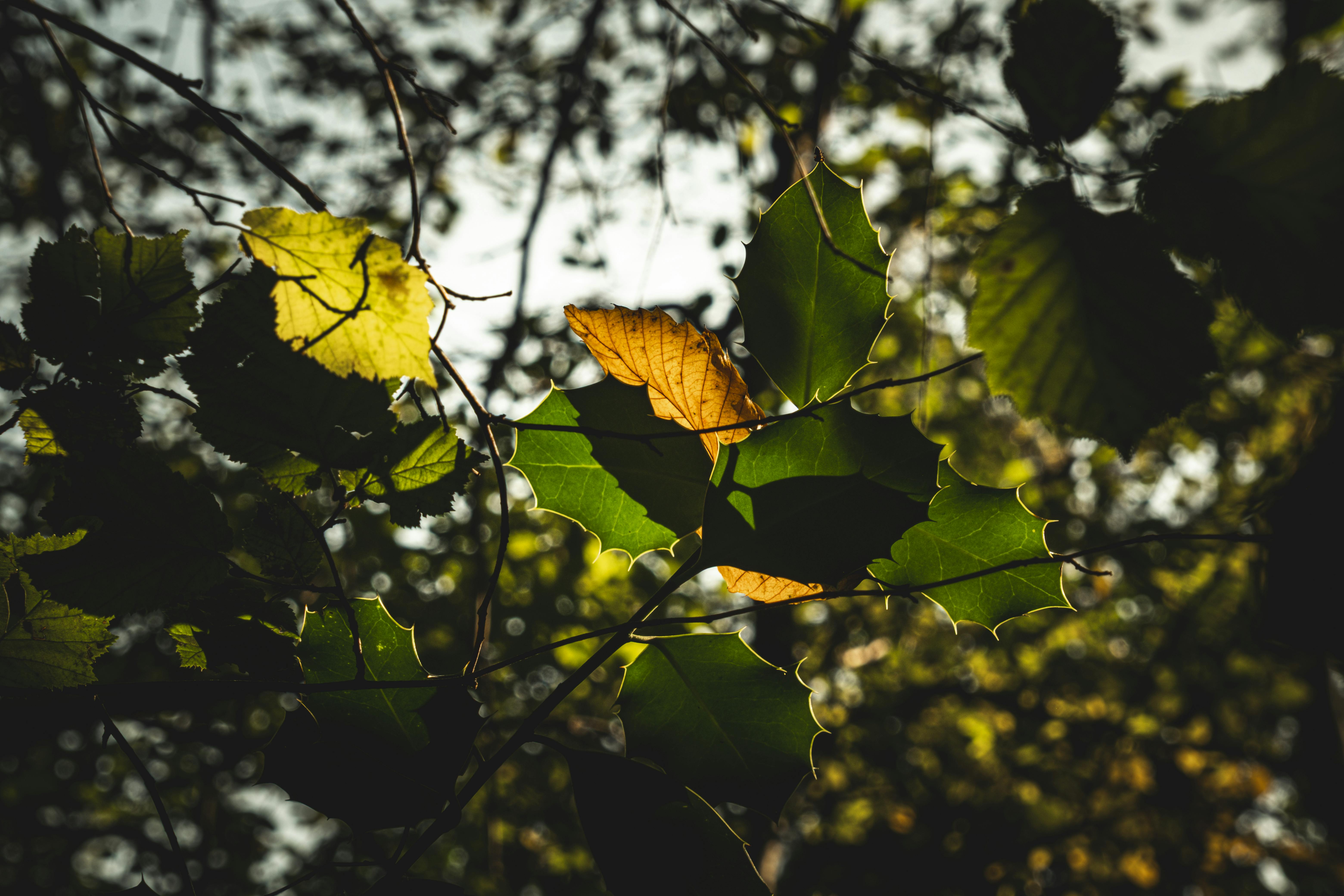 蕭美琴談台灣地緣政治危機：心存善念共度難關