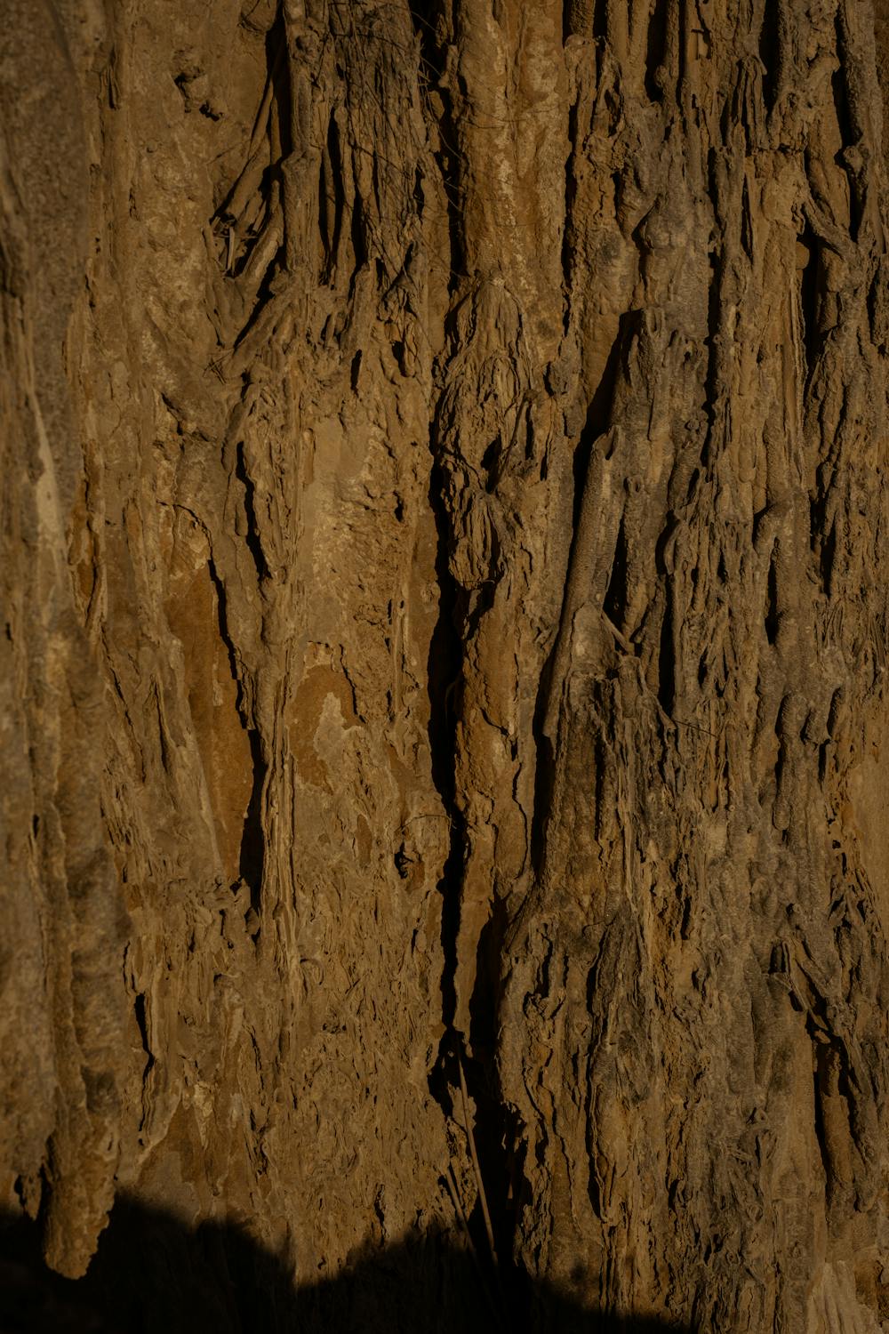 Butterscotch Pretzel Crack