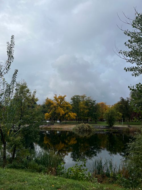 Free Beautiful autumn park with trees reflecting in a tranquil pond under cloudy skies. Stock Photo