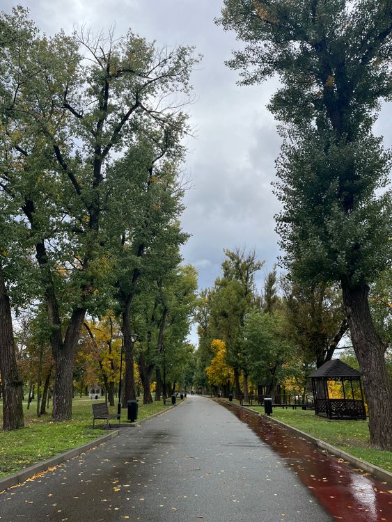 Serene Autumn Pathway in a Park · Free Stock Photo