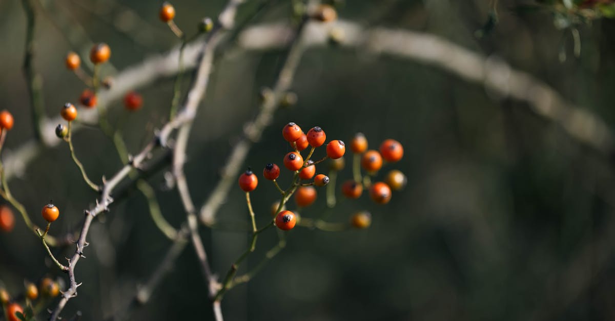 高雄國際食品展盛大開幕 無糖果醋系列成展會焦點
