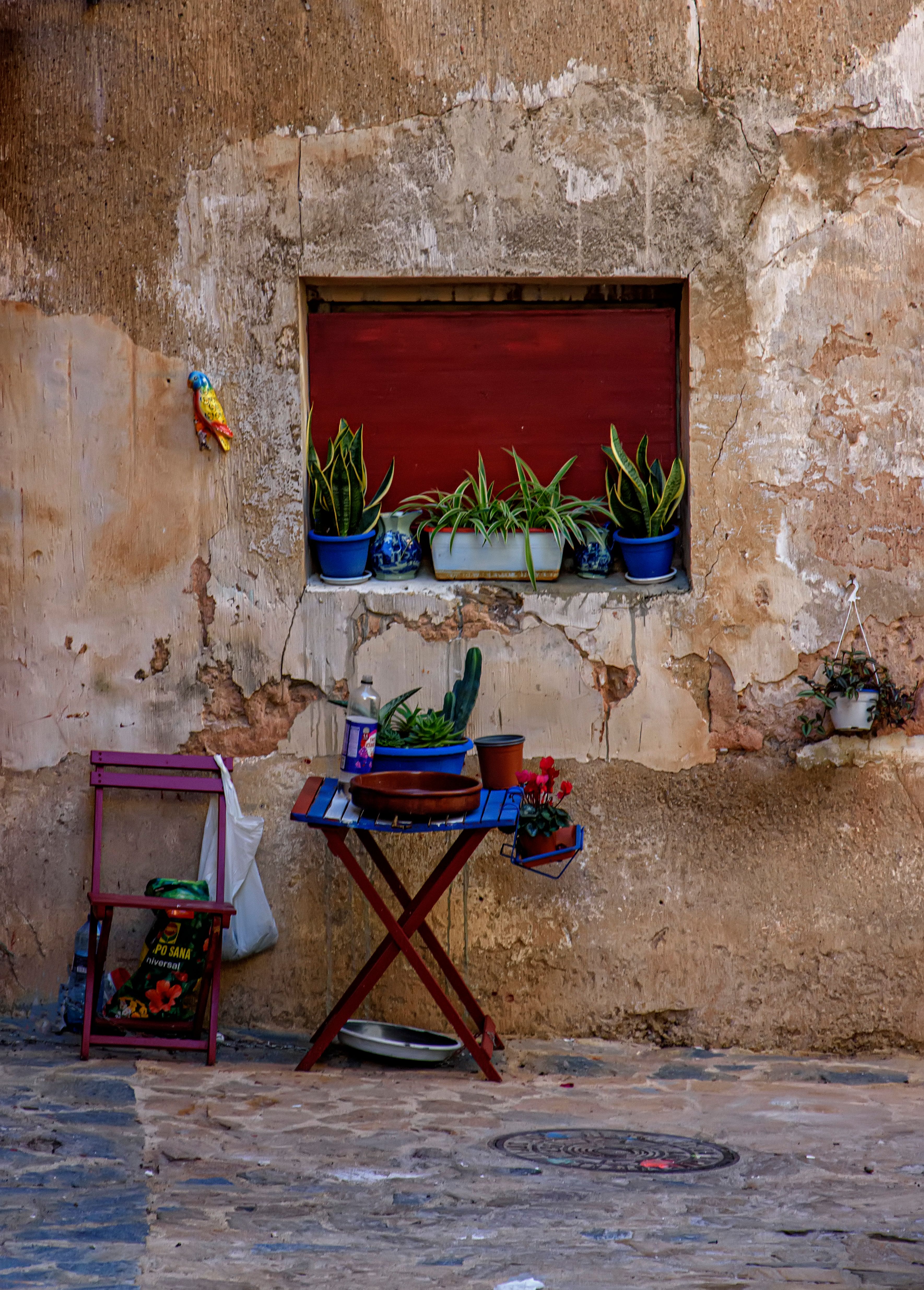 Charming Mediterranean Courtyard with Potted Plants · Free Stock Photo