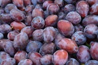 Fresh Ripe Plums at Farmers Market Display