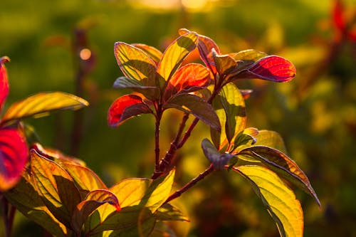 Where To Catch The Best Fall Foliage This Mid-October