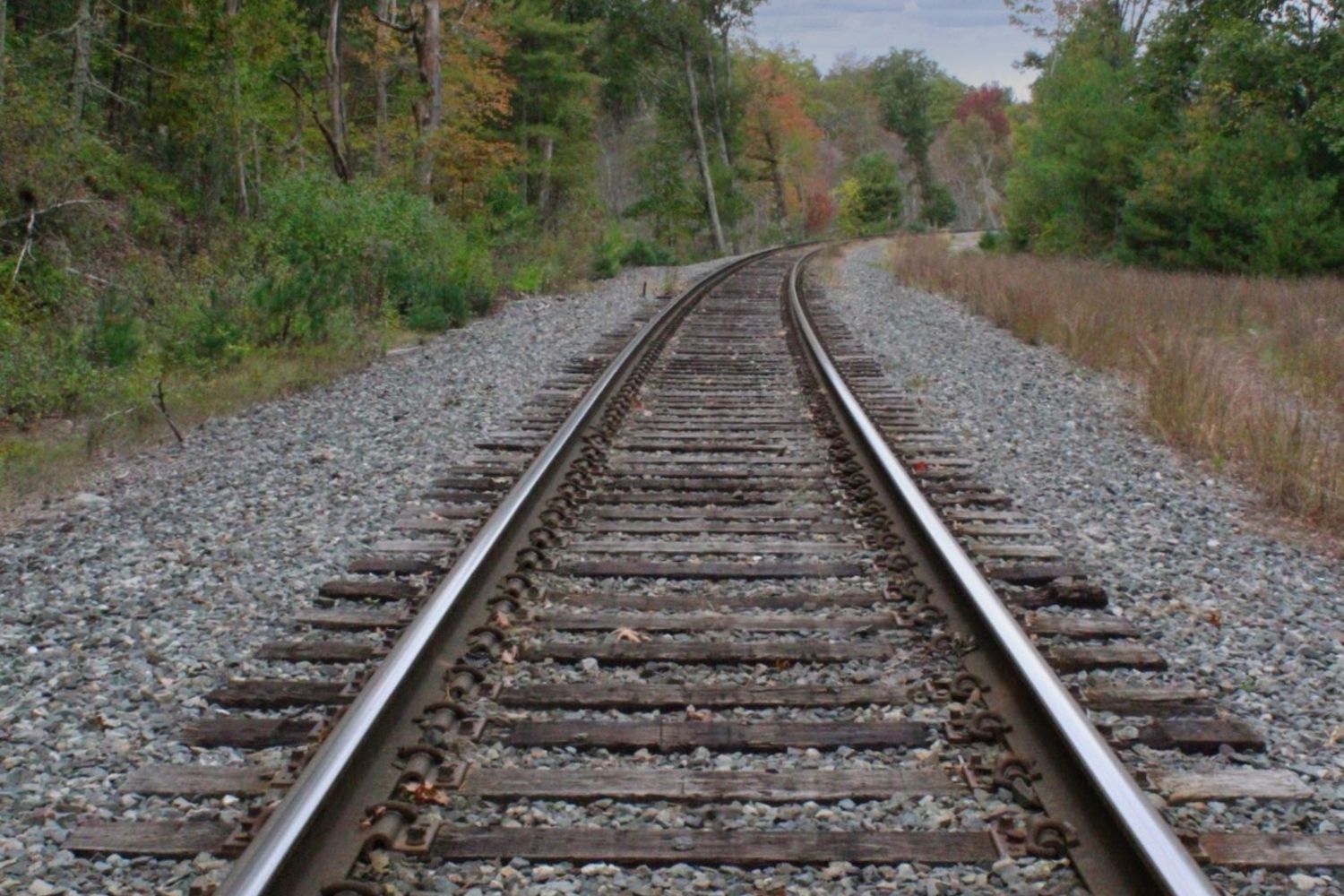 Rail Rd Track Railroad Track Photos, Download The BEST Free Railroad Track Stock ...