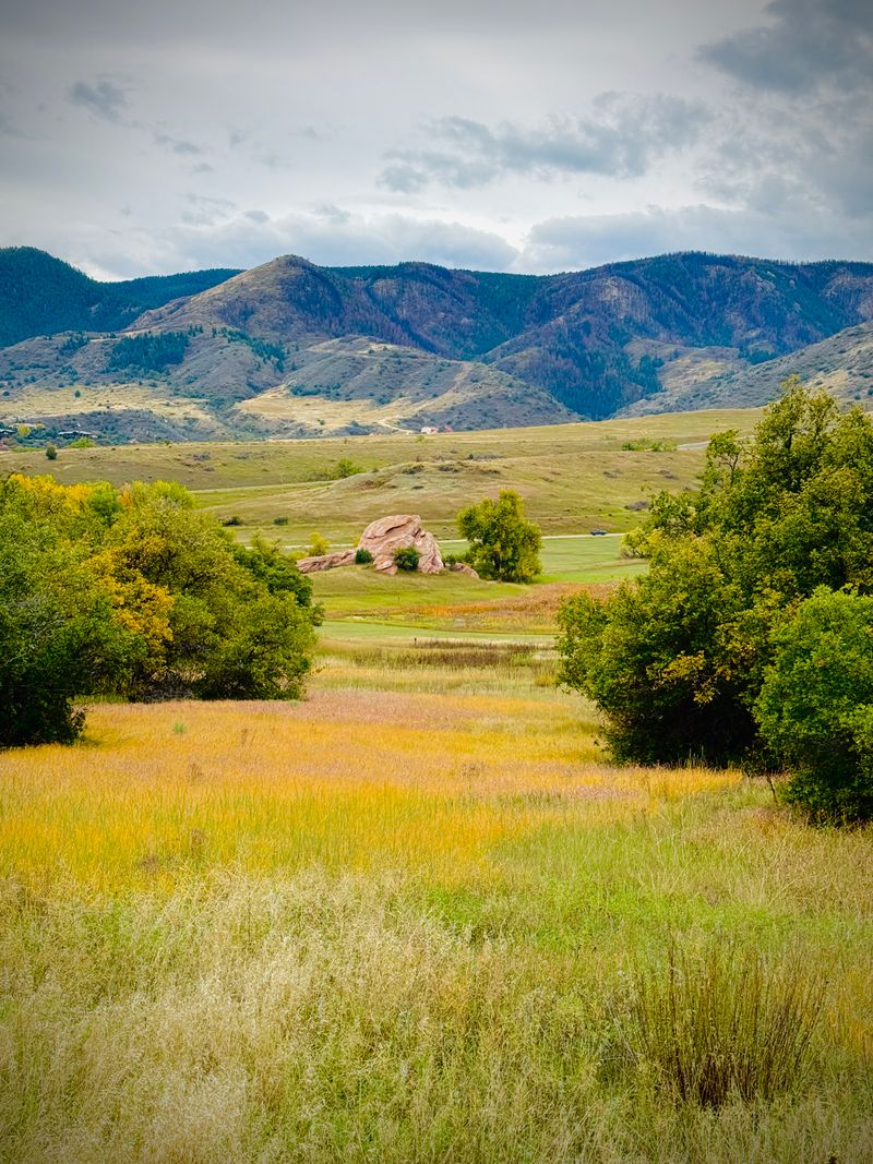Open fields below the Rocky Mountain foothills on a clear Colorado day