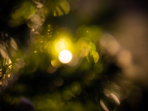 Free stock photo of bokeh, christmas, decorations