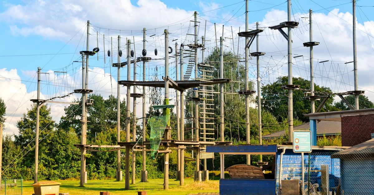 Outdoor Rope Course Activity High ropes course in sunny outdoor adventure park · Free Stock Photo