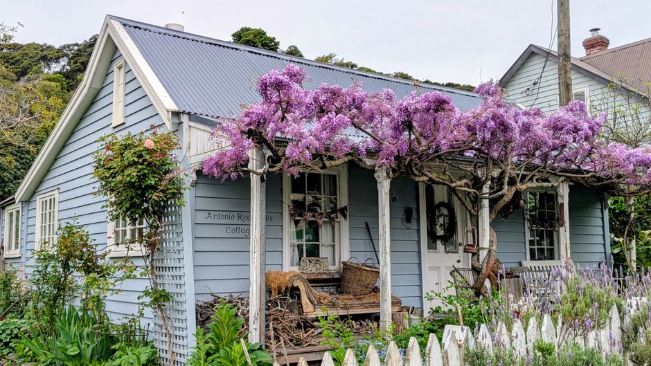 Photo by Evi Rodemann on Pexels A picturesque blue cottage surrounded by blooming wisteria, located in the scenic town of Akaroa, New Zealand.