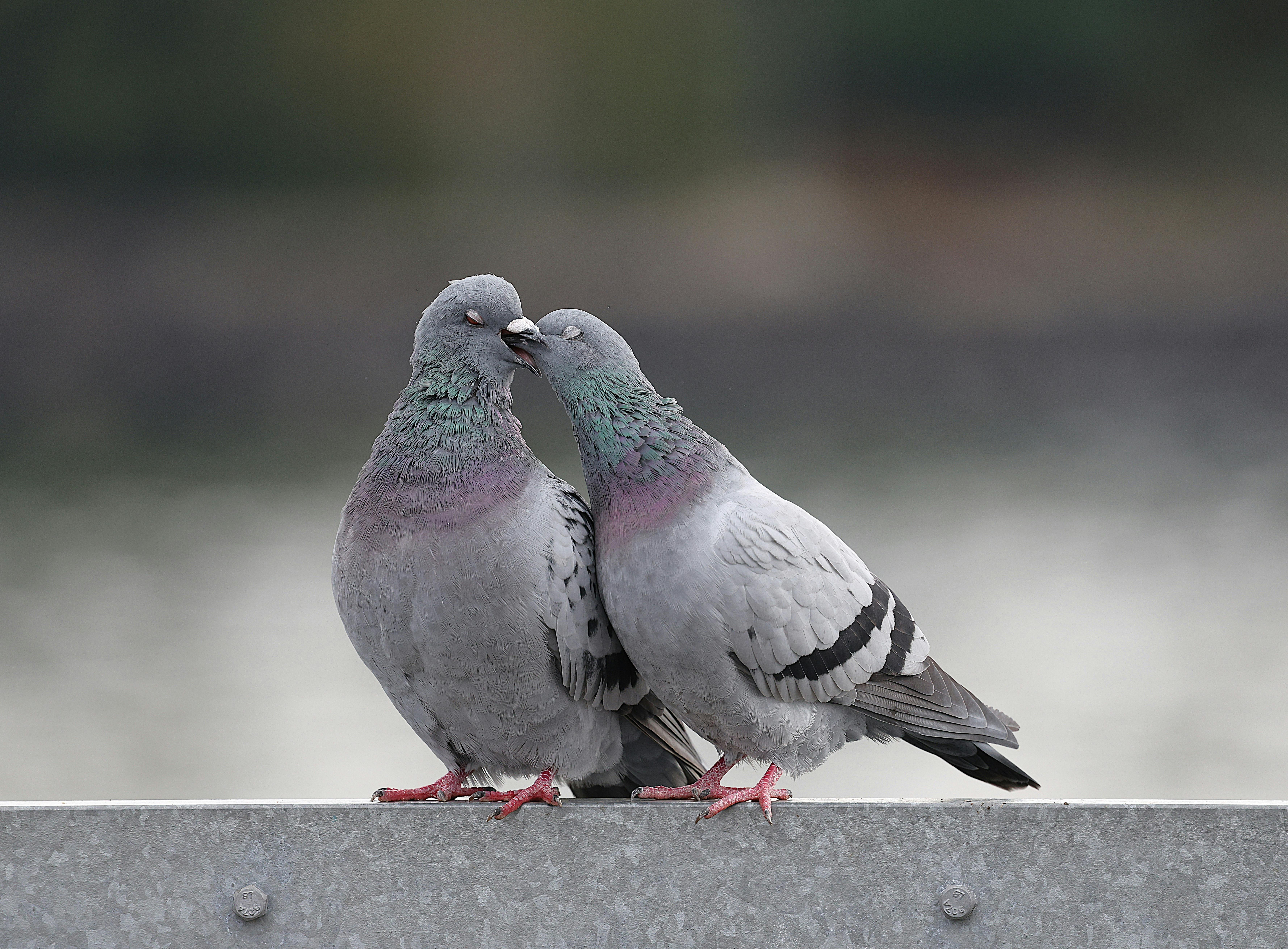 Exploring Alien Encounters and UFO Sightings: Unveiling the Mysteries of Unknown Worlds