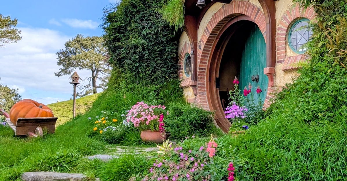 善良一點一點,公益彩券的力量!✨