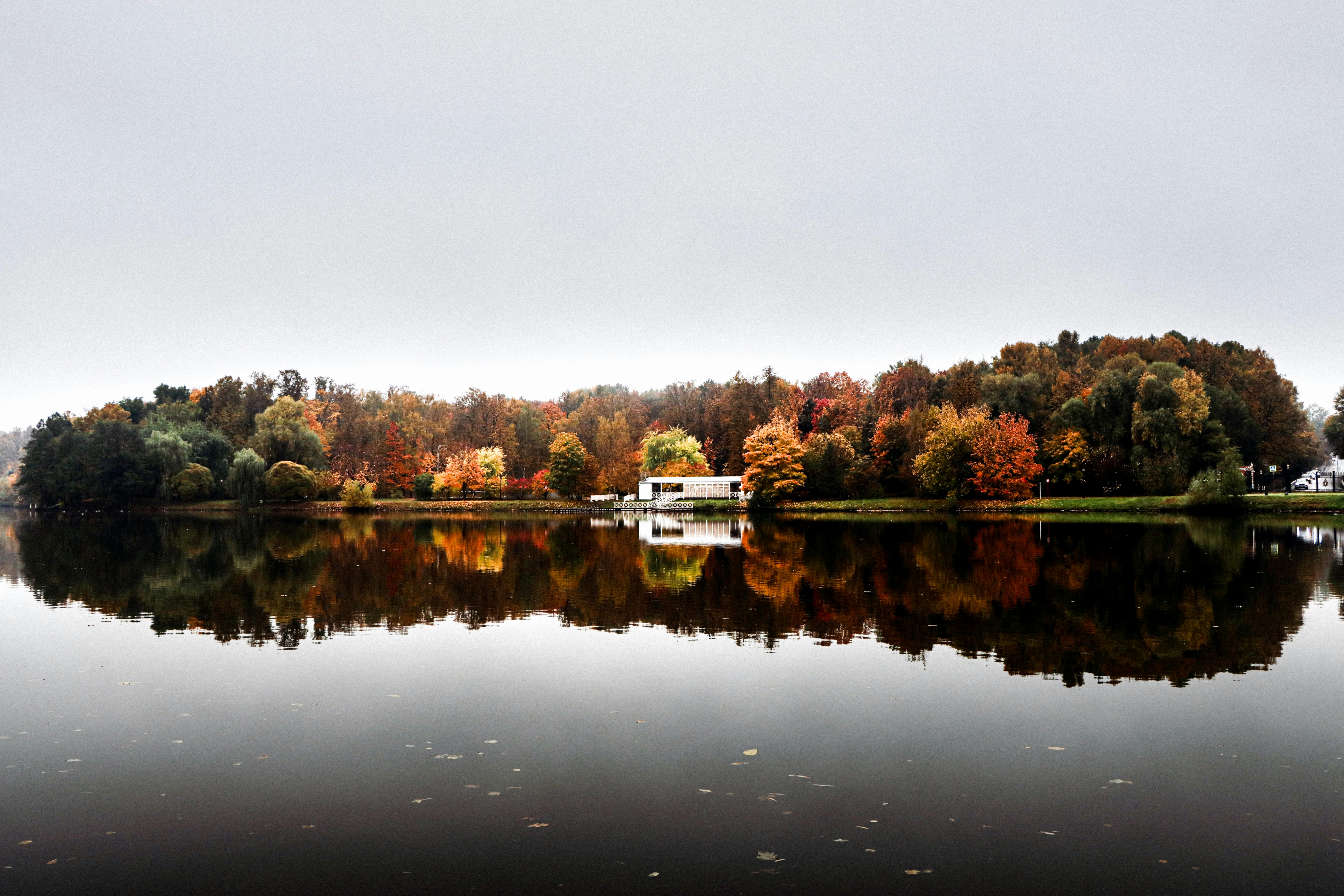 Understanding Settlement: A Complete Guide