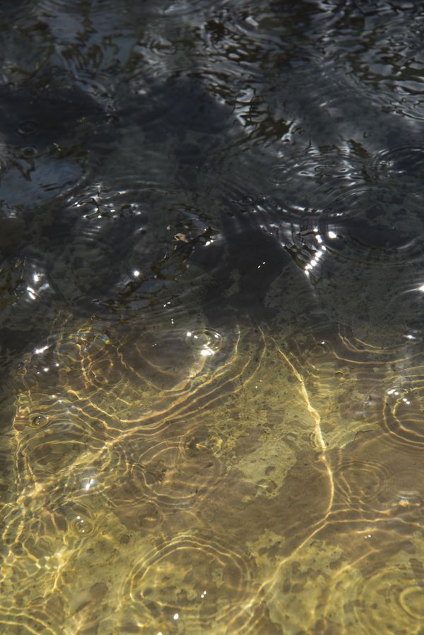 Water Ripple Texture Photos, Download The BEST Free Water Ripple ...
