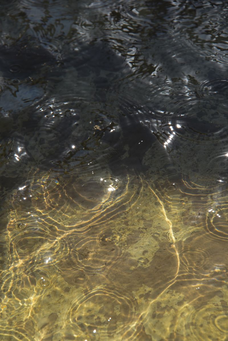 Water Ripple Texture Photos, Download The BEST Free Water Ripple ...