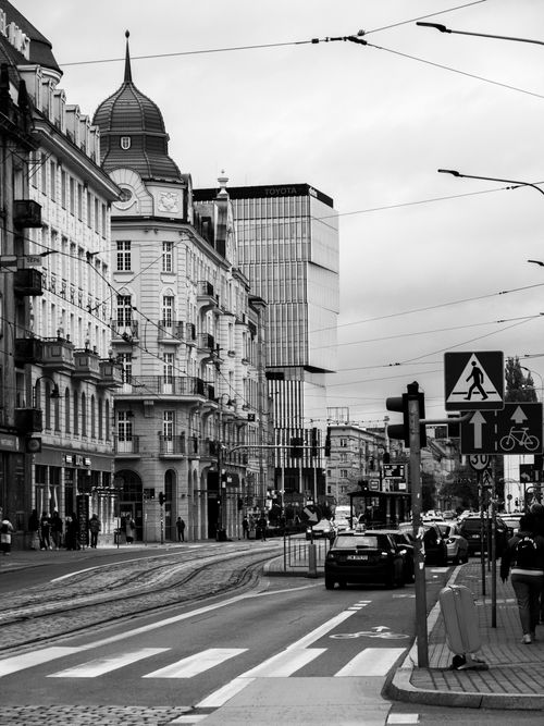 Free Historic European street with tram tracks and modern buildings captured in black and white. Stock Photo