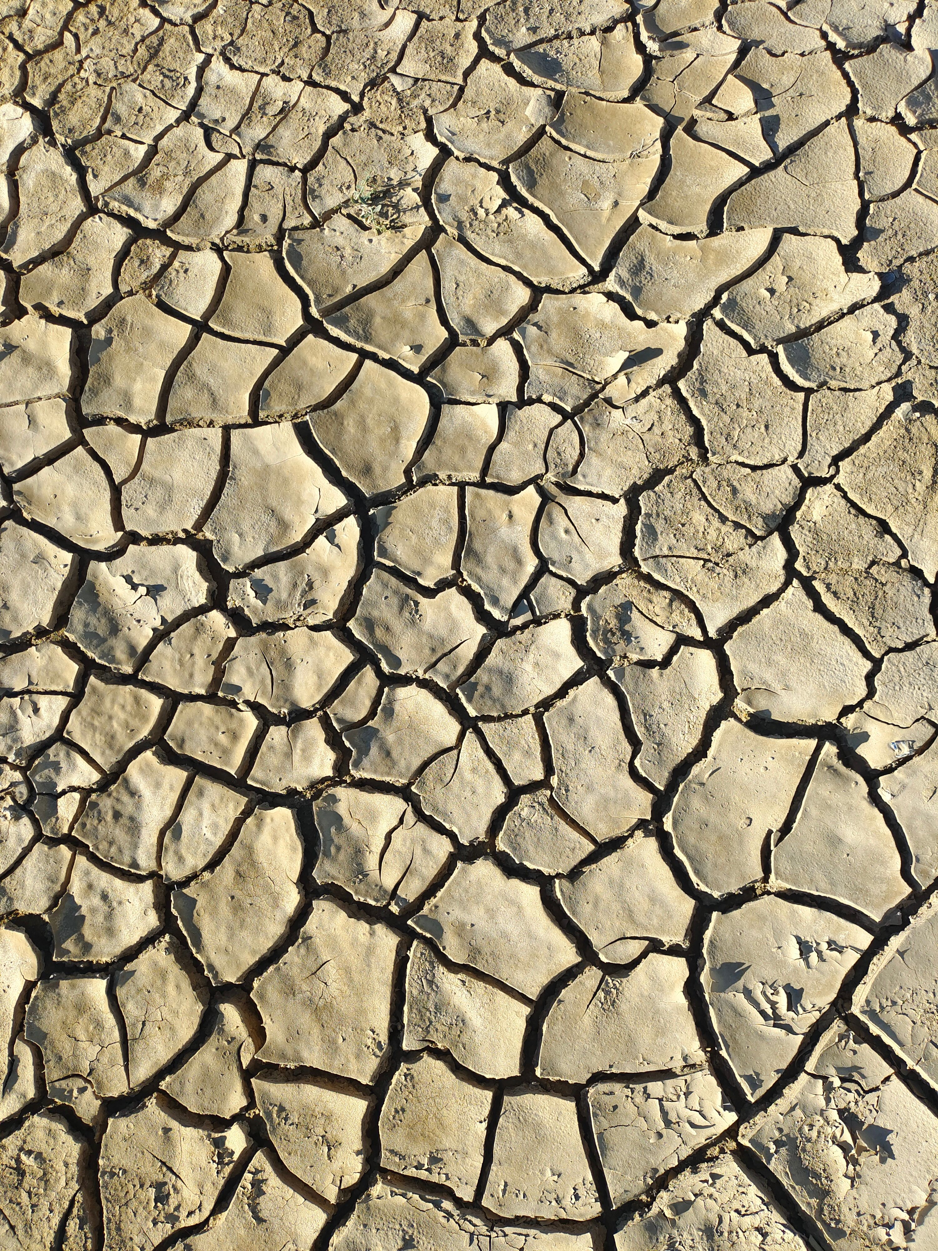 Detailed view of dry, cracked earth soil texture under bright daylight.