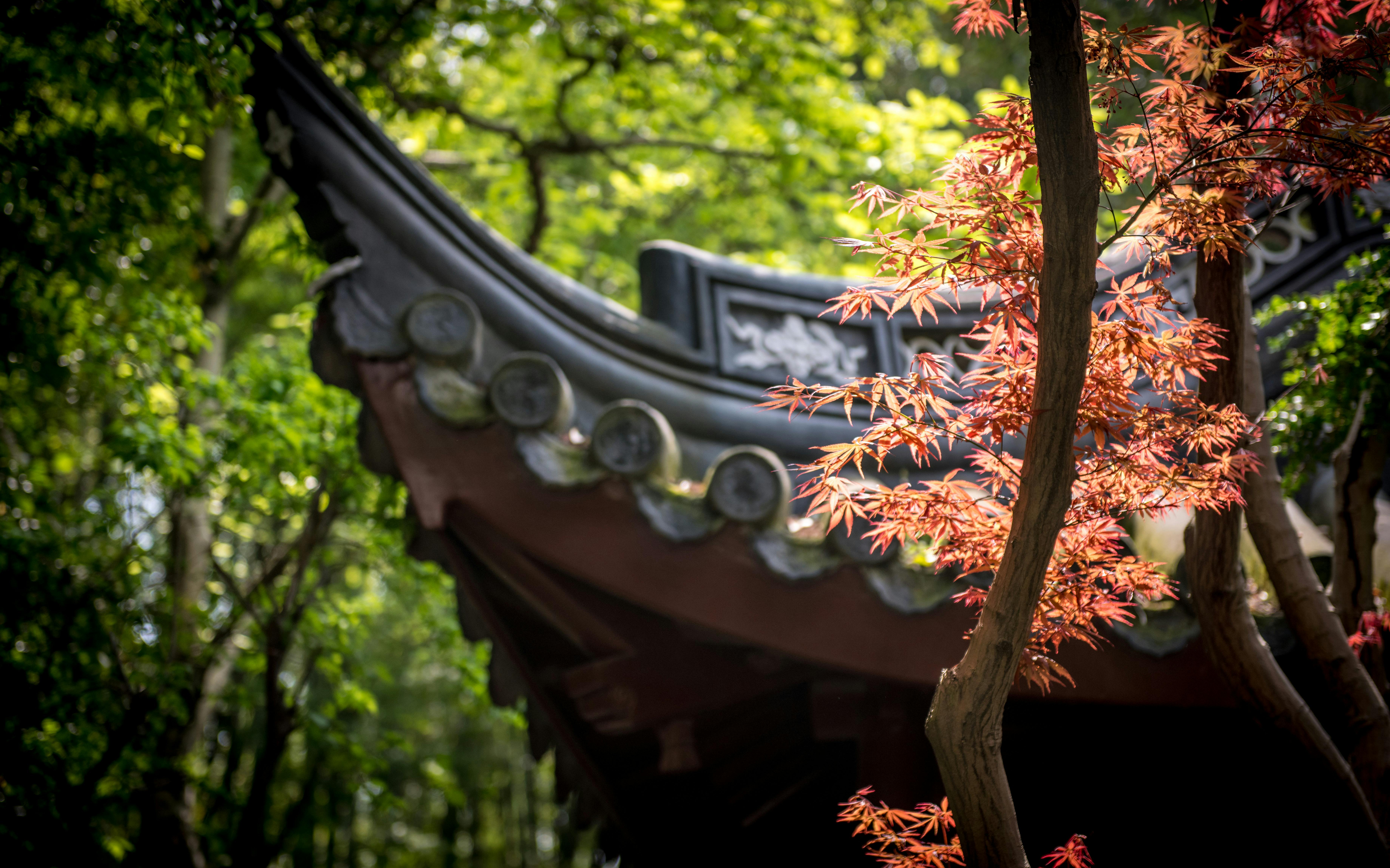 Eco-Friendly Architecture Tips for Sustainable Building