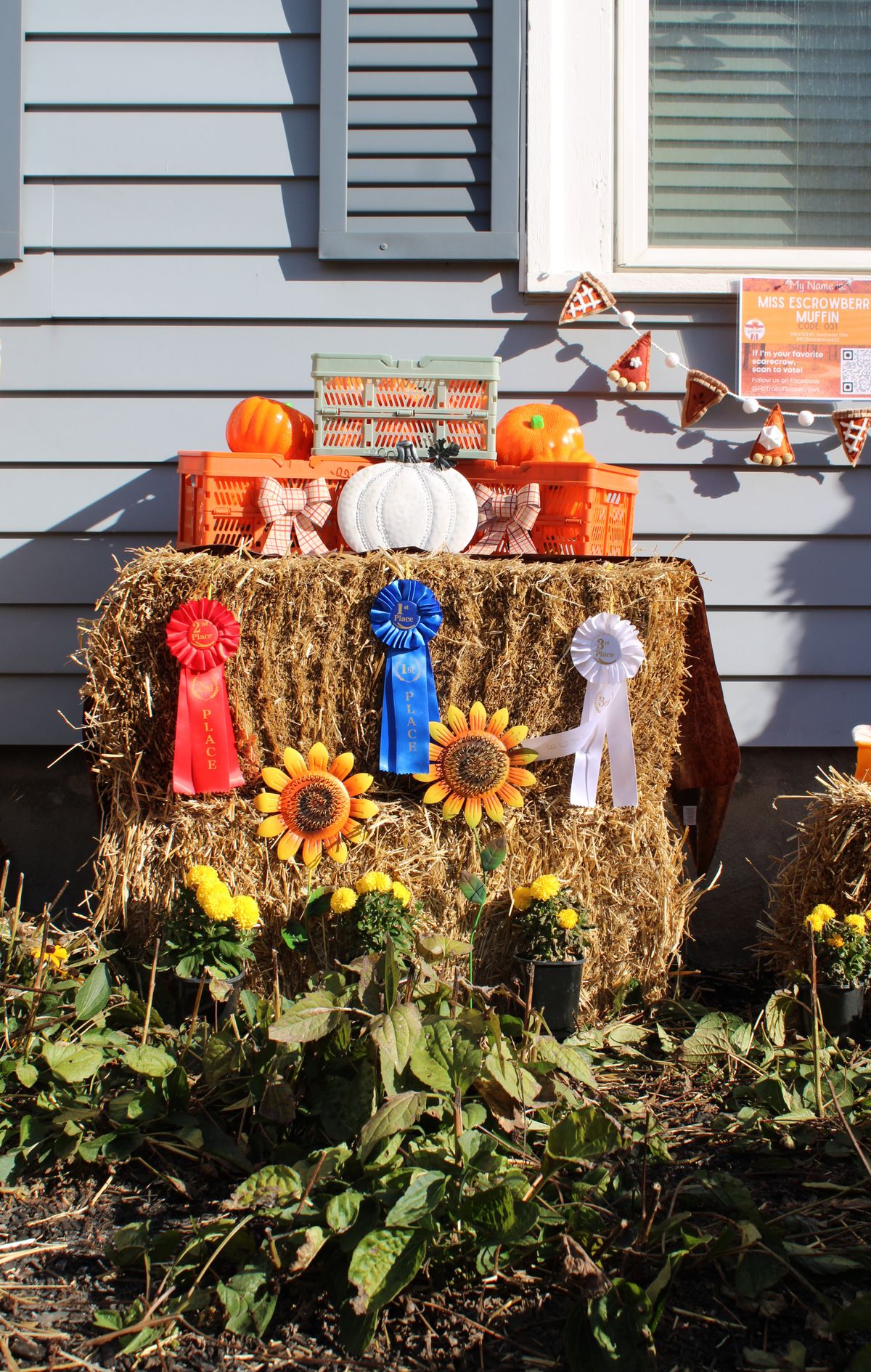 A fair-style display of pumpkins, hay bales, sunflowers and award ribbons