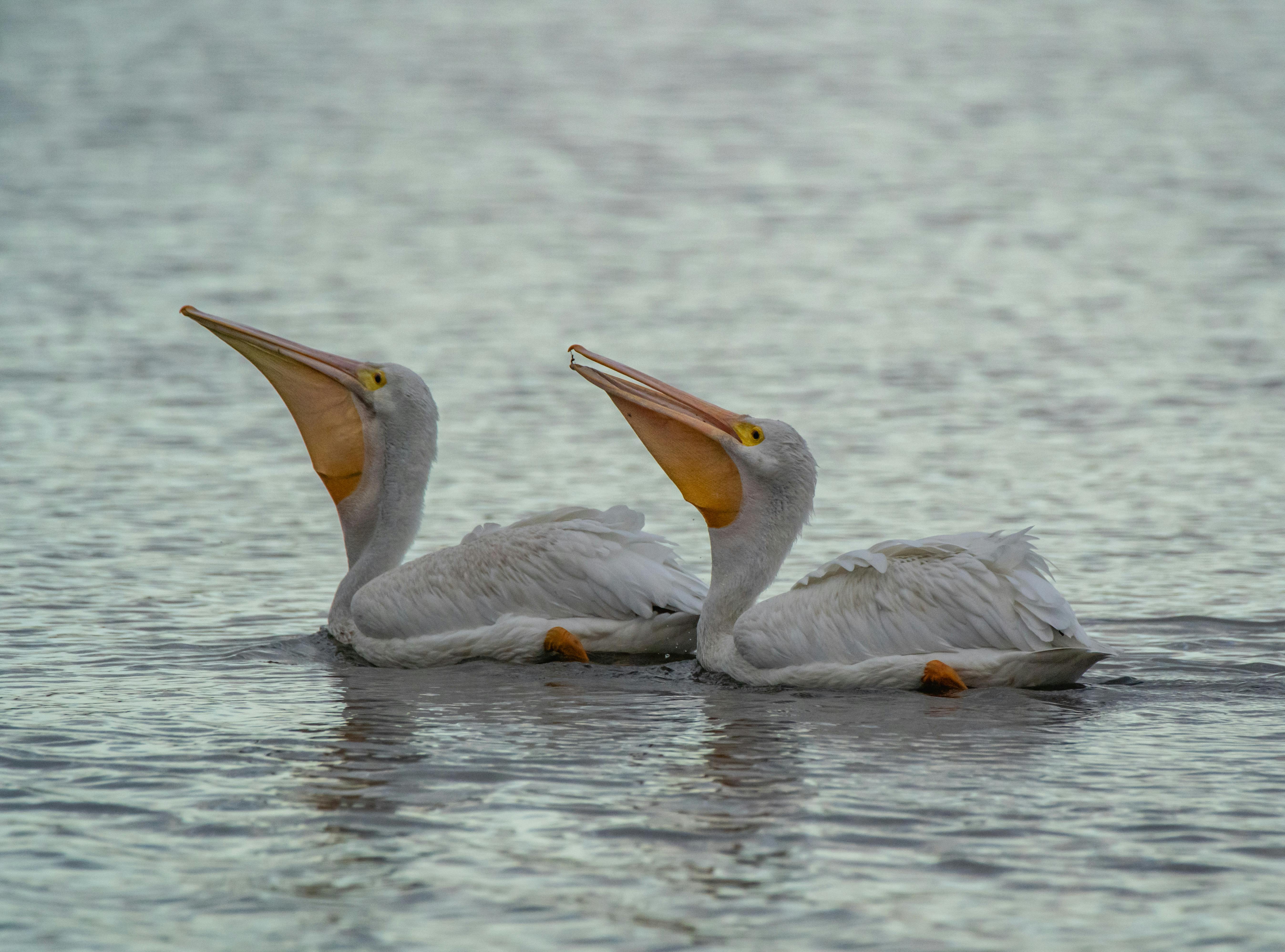蕭美琴談台灣地緣政治危機：心存善念共度難關