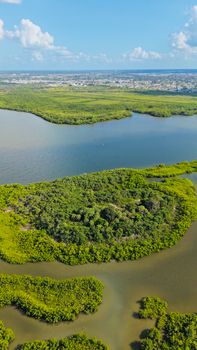 Stunning aerial shot of lush mangrove forest and waterways in Florida.