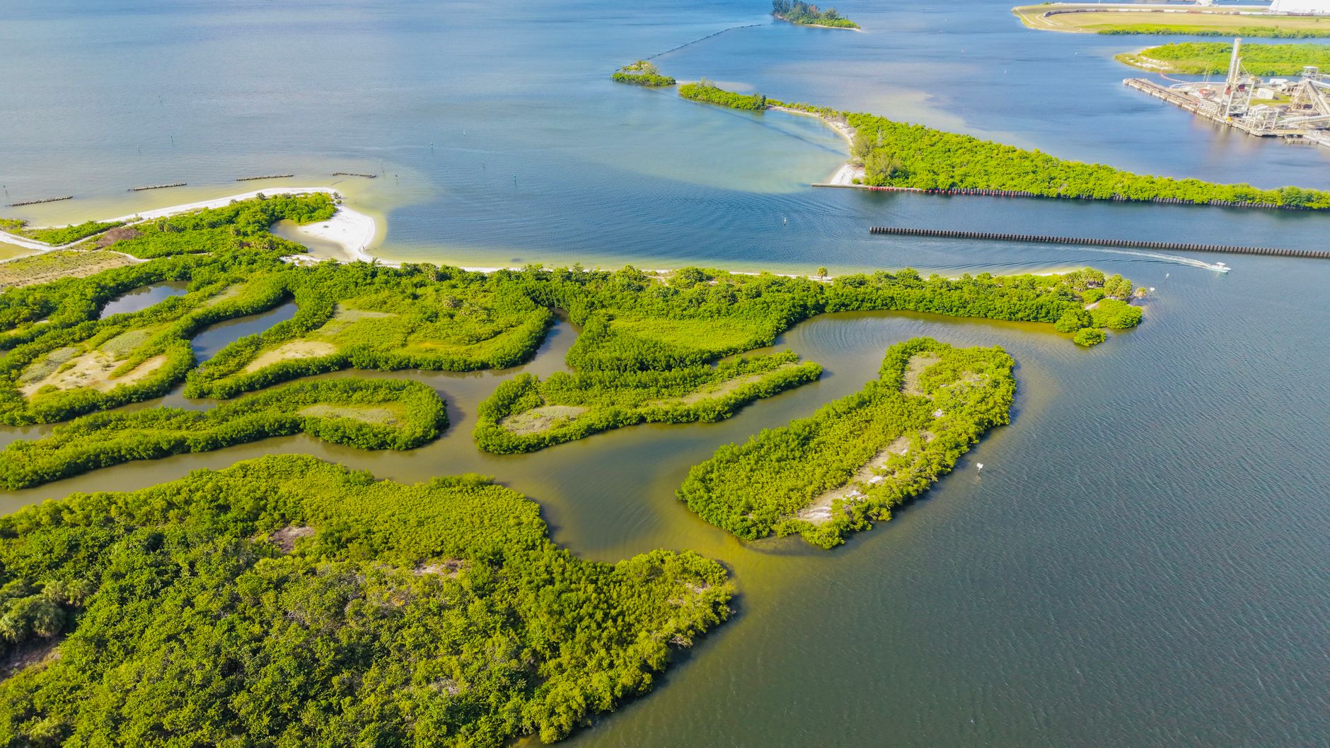 The River You Can't See: What the Everglades Actually Is, and Why It Matters