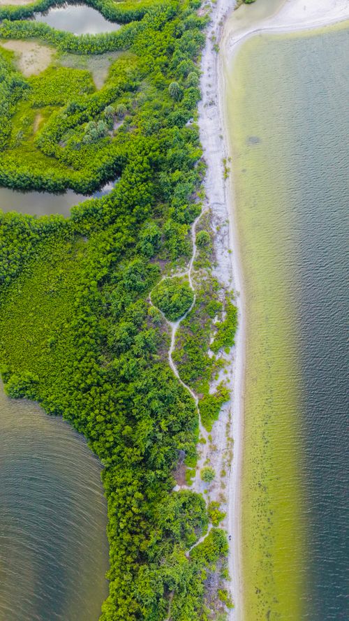 Free A mesmerizing aerial shot of Florida's coastal greenery and serene waters. Stock Photo