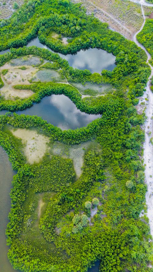 Free Stunning aerial photo of vibrant greenery and reflective water bodies in Florida. Stock Photo